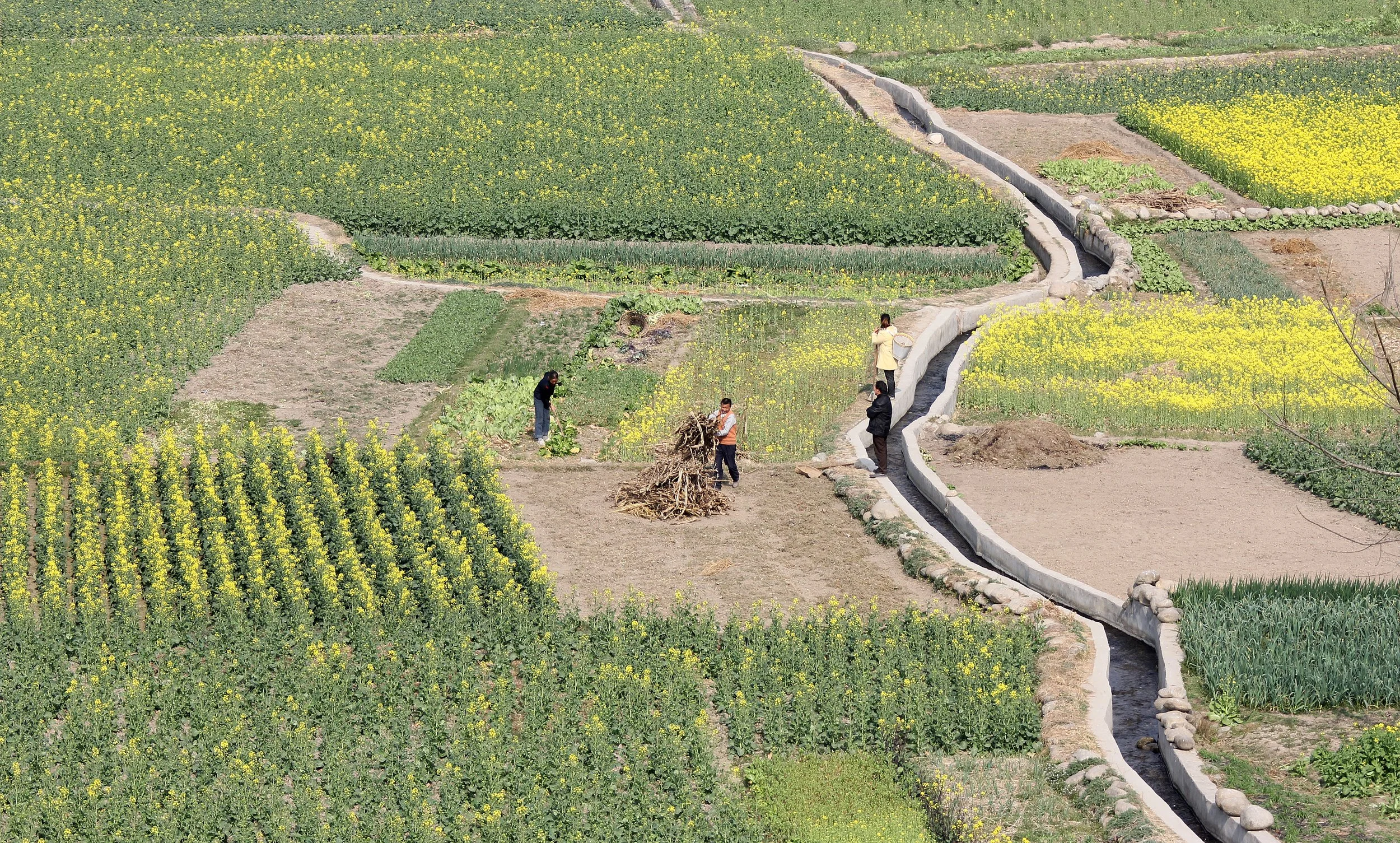 SHANGLI ANCIENT TOWN - SICHUAN CHINA (28).JPG