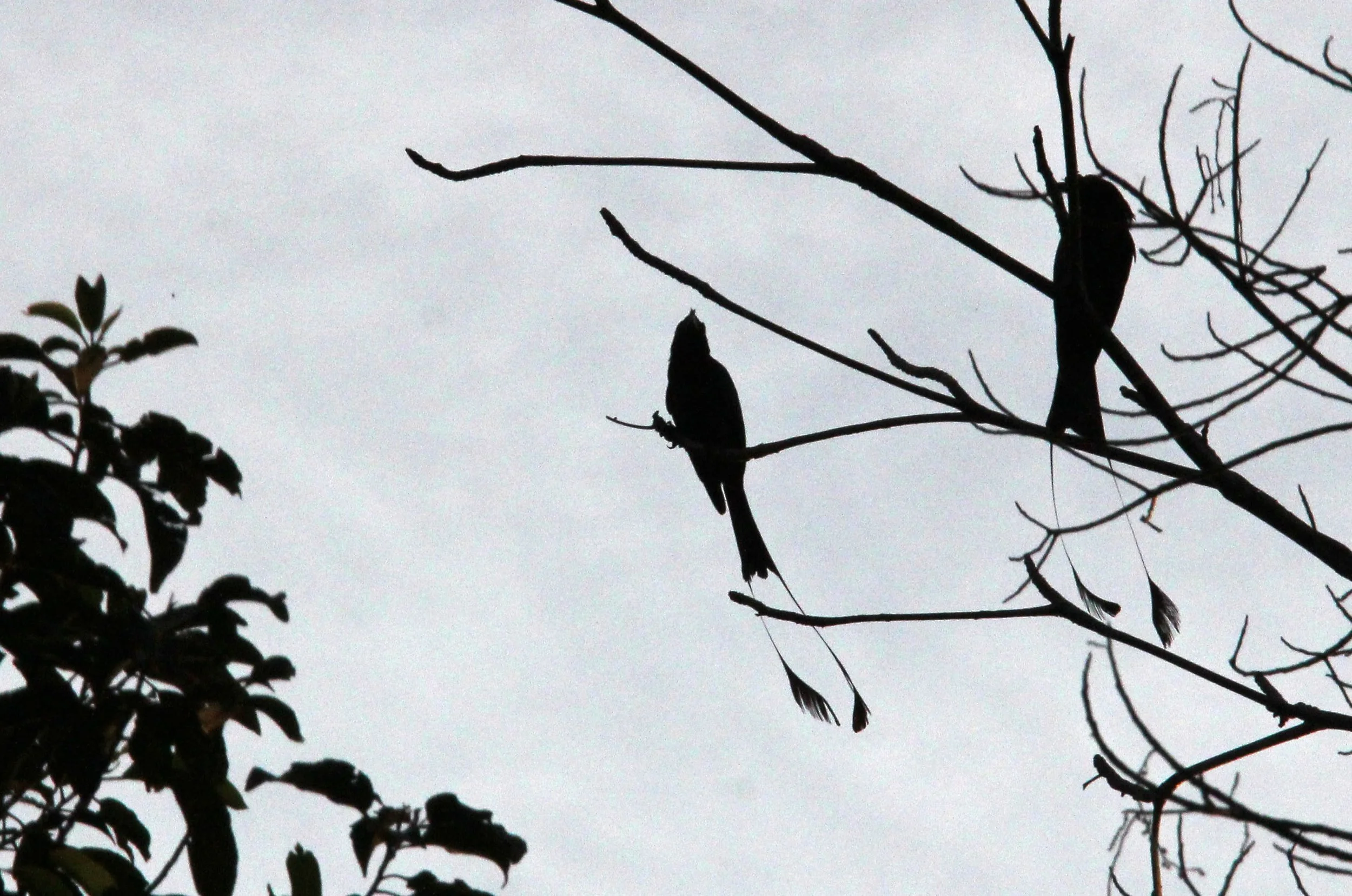 2016 Koh Lanta Landscapes, House Pictures and Family Fun (4).JPG