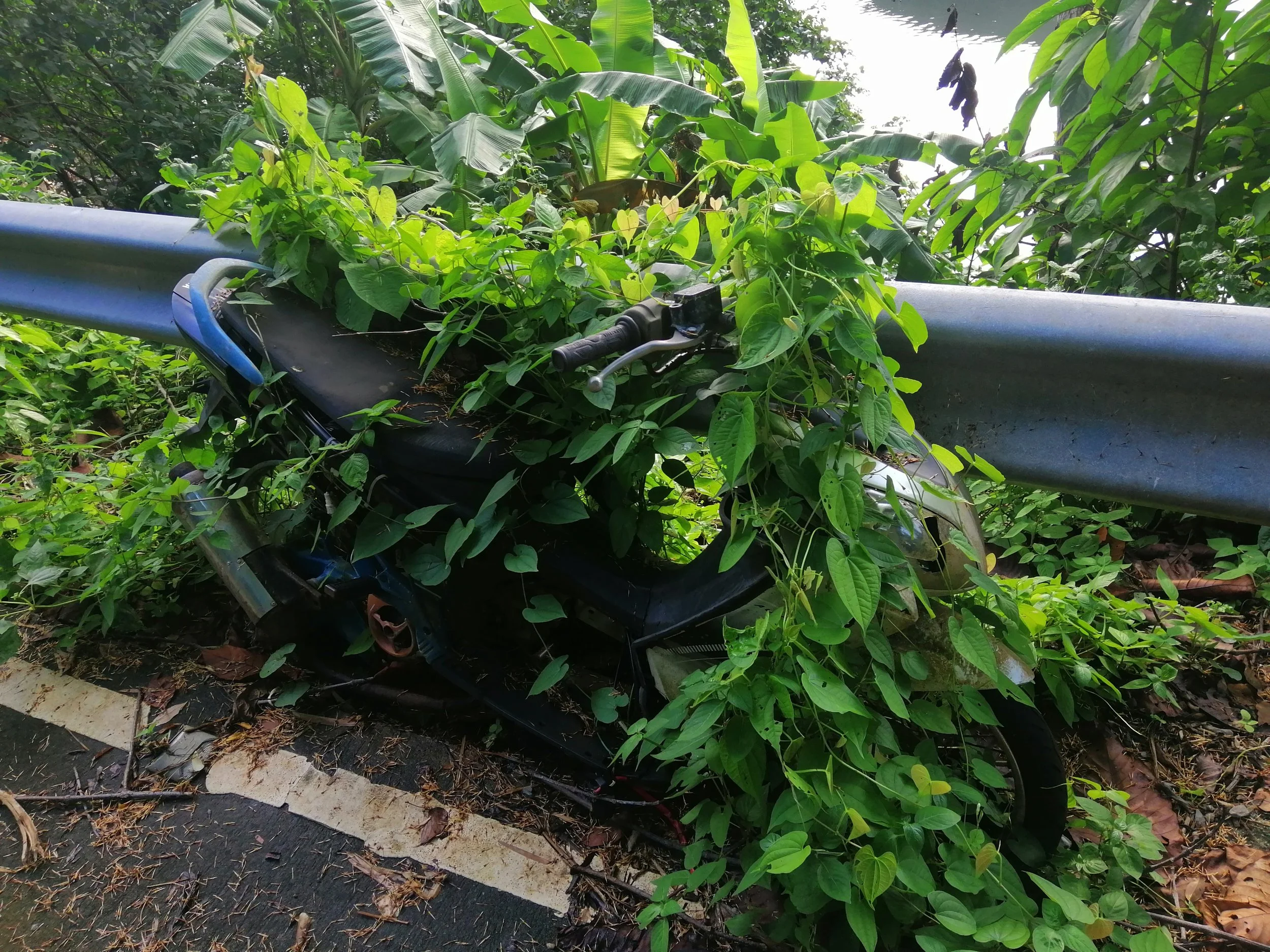 2019 Koh Kood Road Trip (24).jpg
