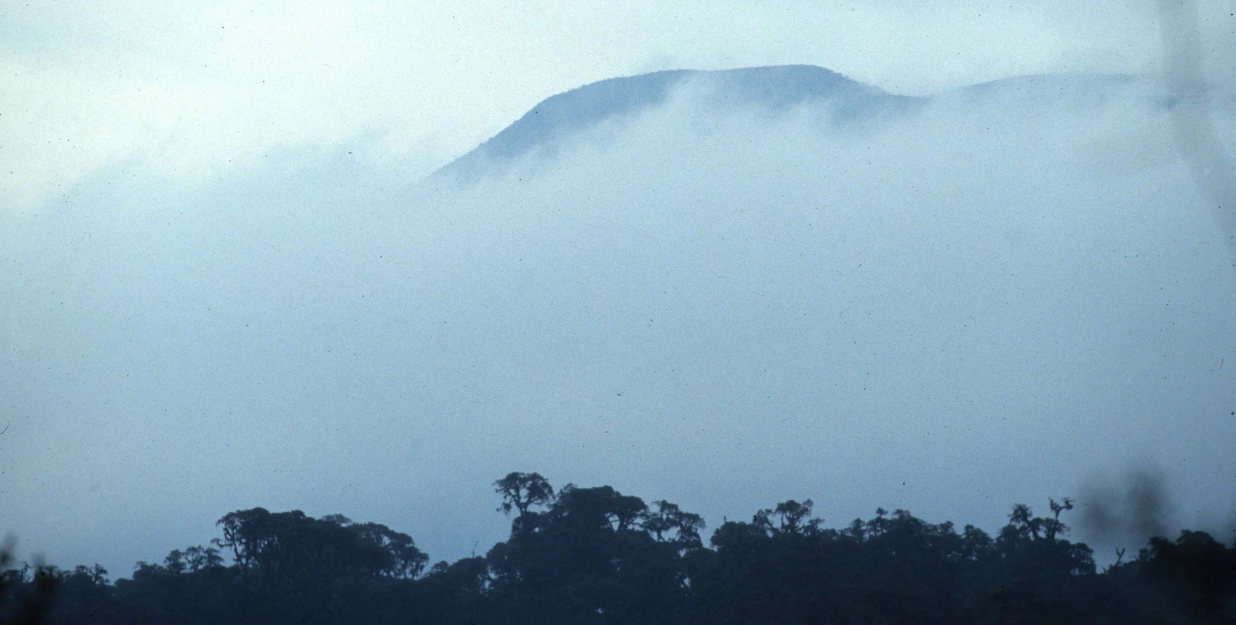 RWANDA - PARC DU VULCANS - MT VISOKE.jpg
