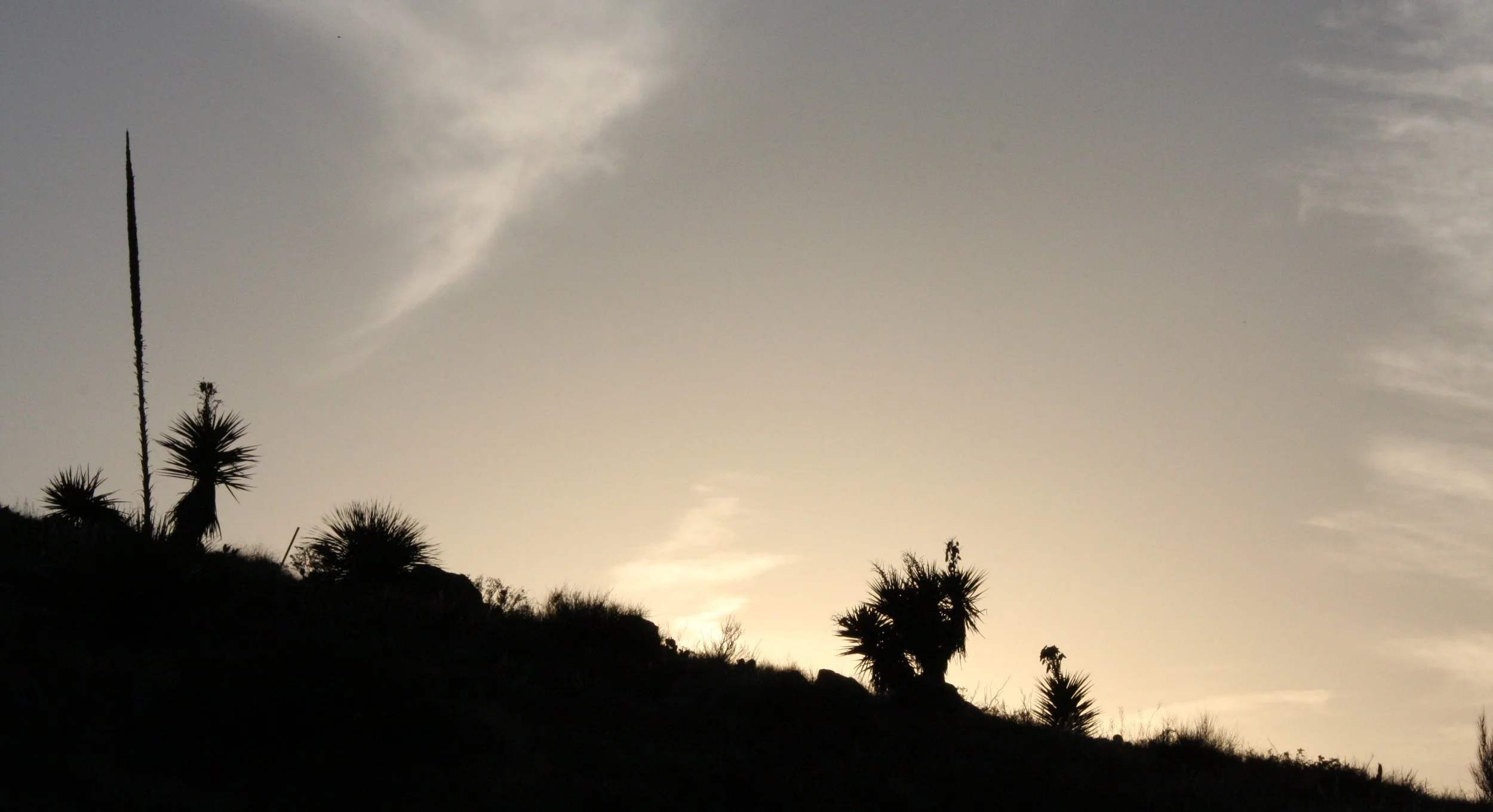 LAS CRUCES - A MOUNTAIN RECREATION AREA (2).JPG
