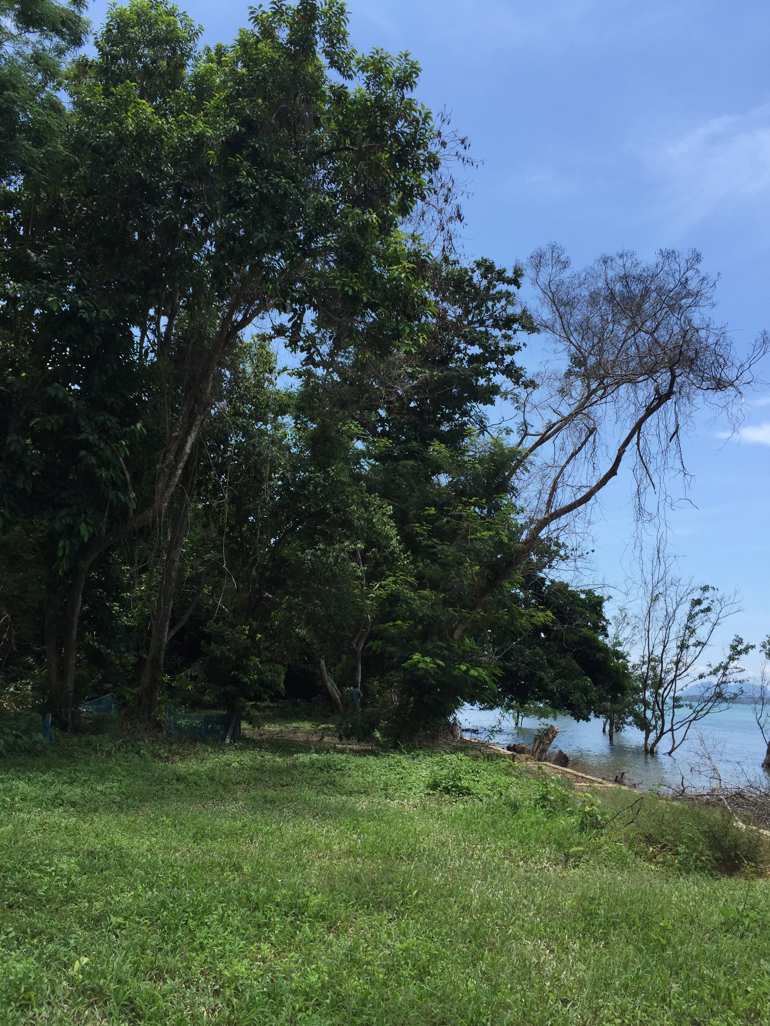 2015 Koh Lanta Garden & Nature (310).jpg