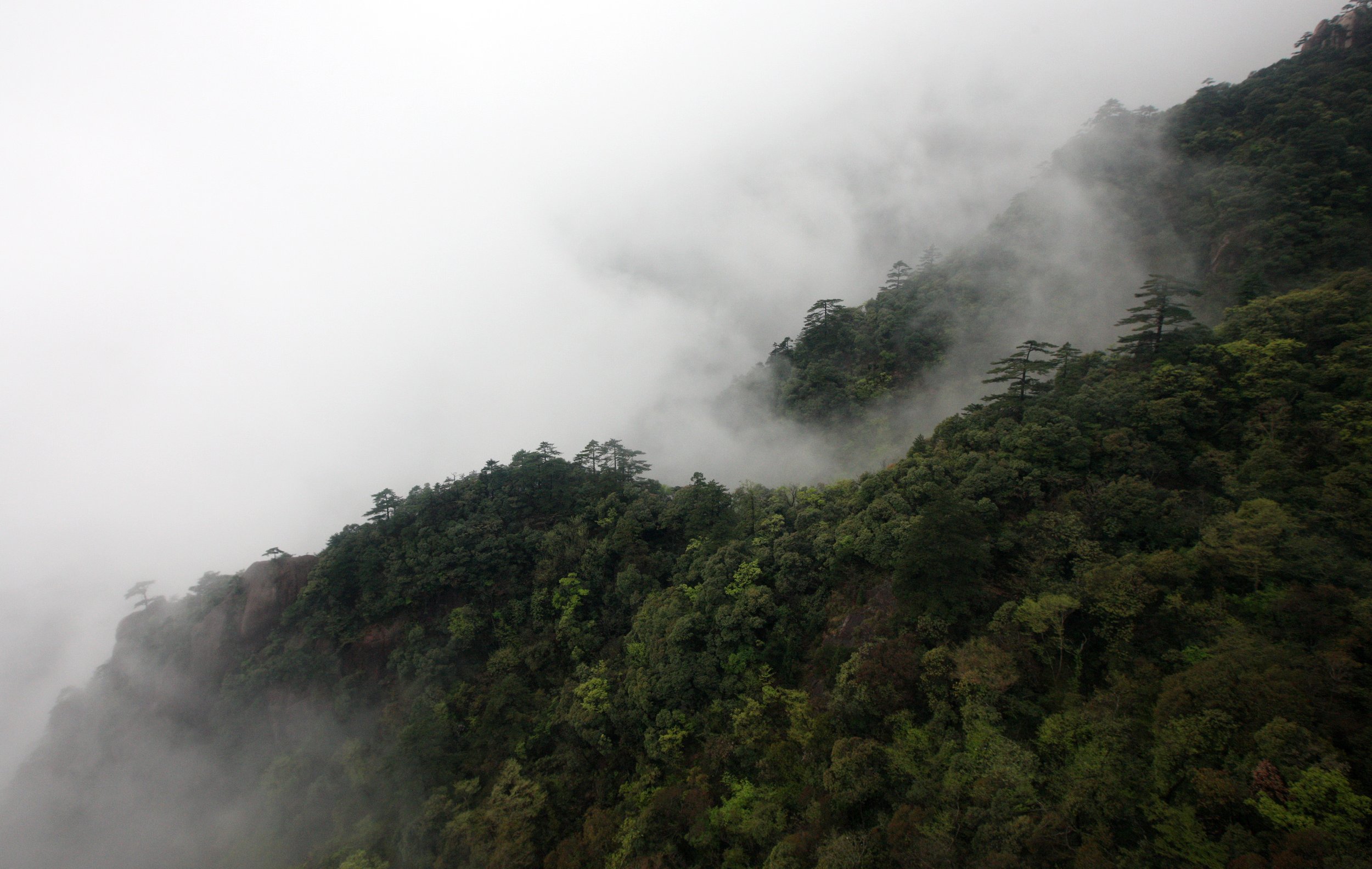 HUANGSHAN NATIONAL PARK ANHUI PROVINCE CHINA (256).JPG