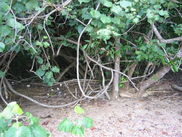 KOH LANTA - PROPERTY - 2005 (76).jpg