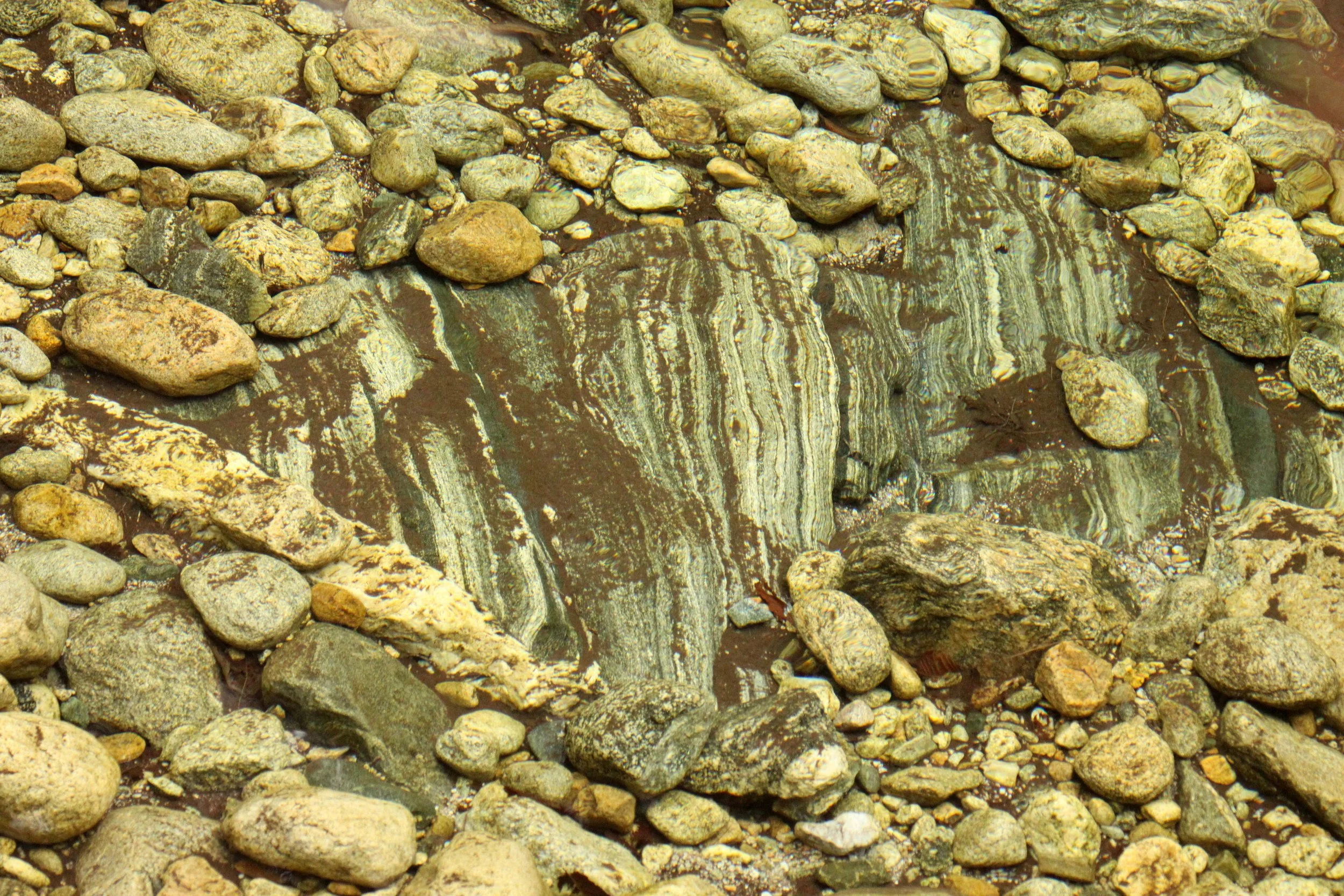 FOPING NATURE RESERVE - SHAANXI PROVINCE CHINA (108).JPG