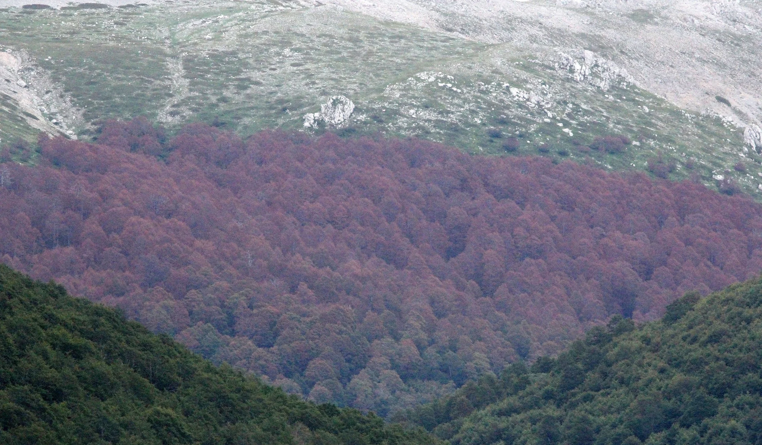 ABRUZZO NATIONAL PARK ITALY (92).JPG