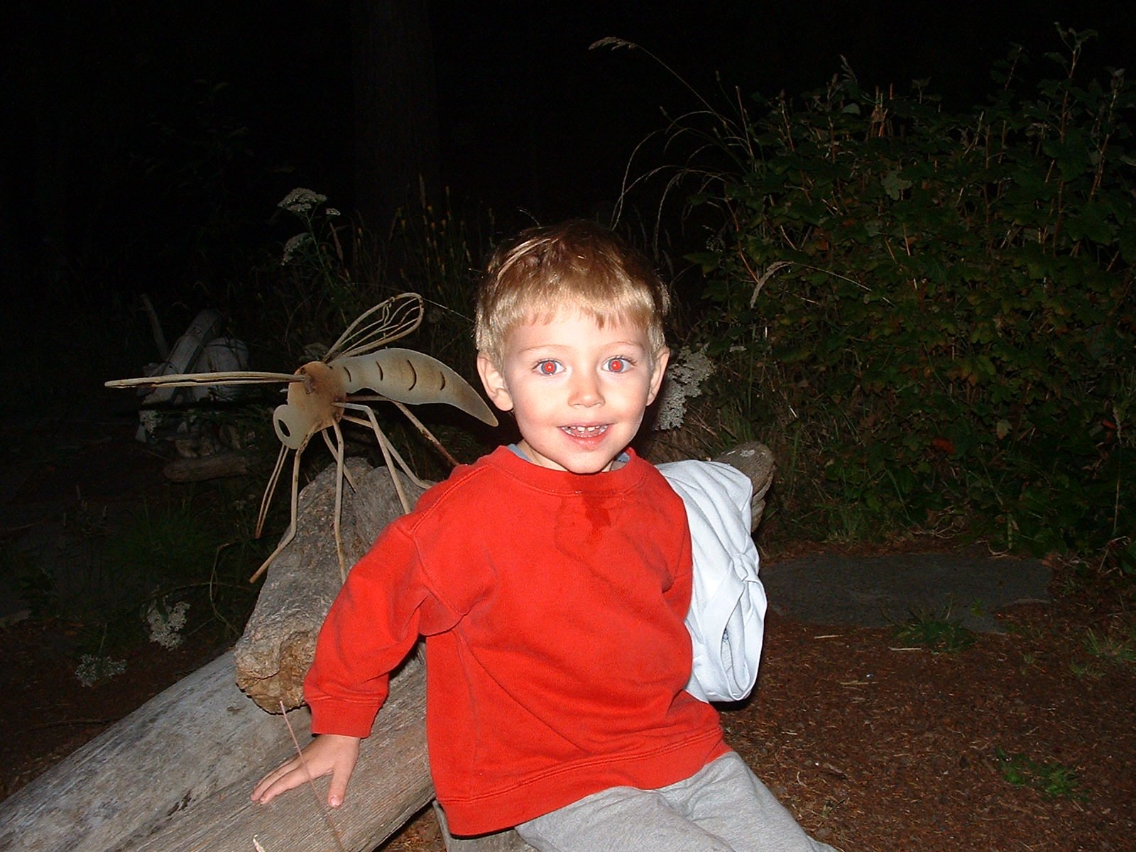 2003-8-1 WASHINGTON VISIT FROM ROBINSONS ET AL (98).JPG