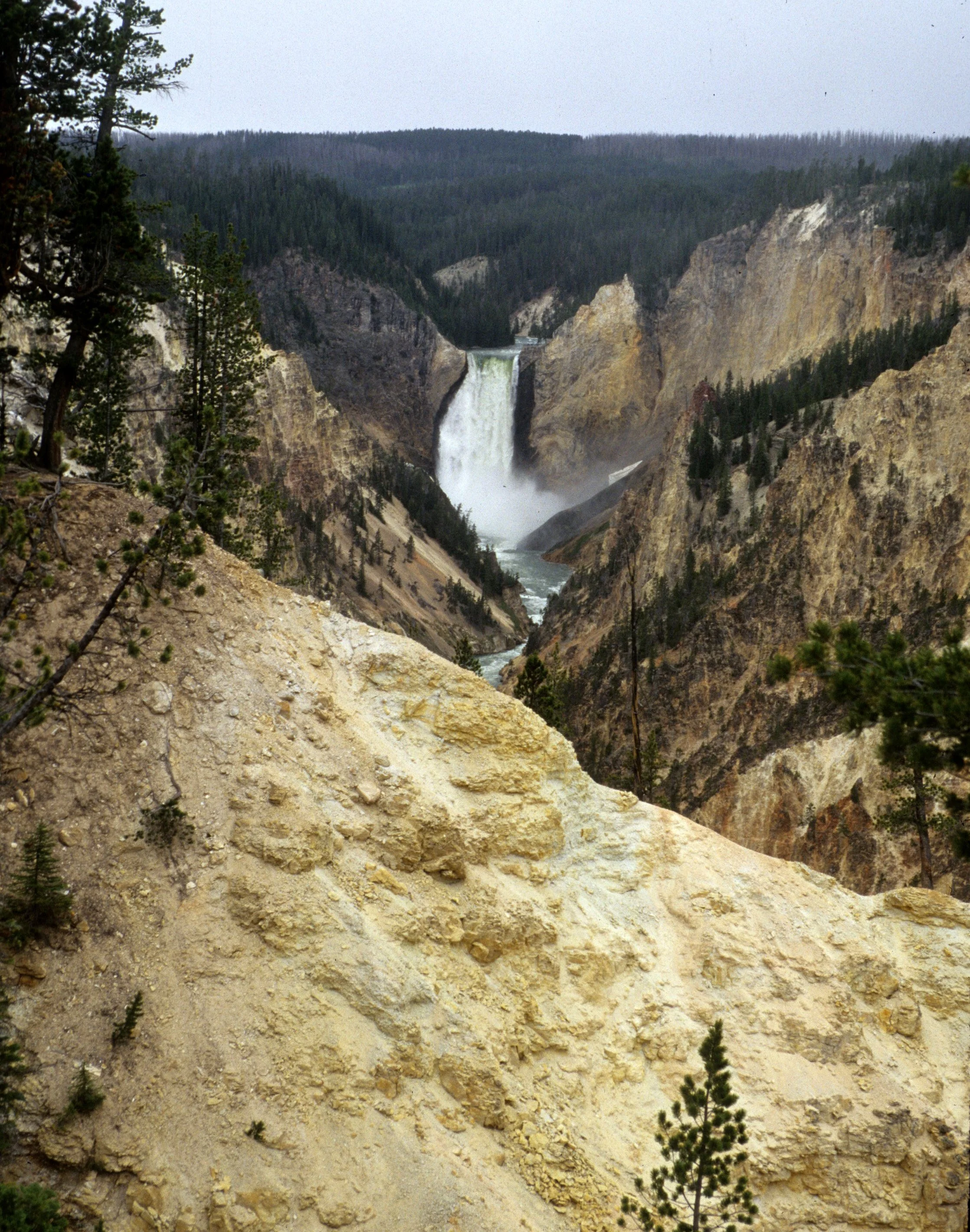 YELLOWSTONE - CANYON VIEW H.jpg