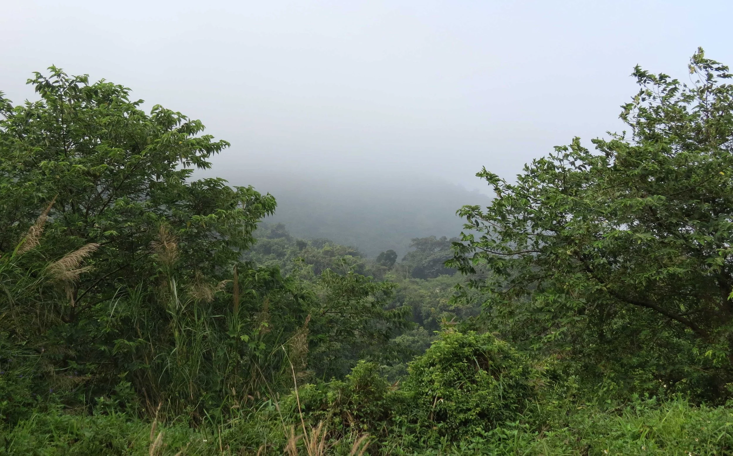 SON TRA PENINSULA - COKIE'S IMAGES (20).JPG