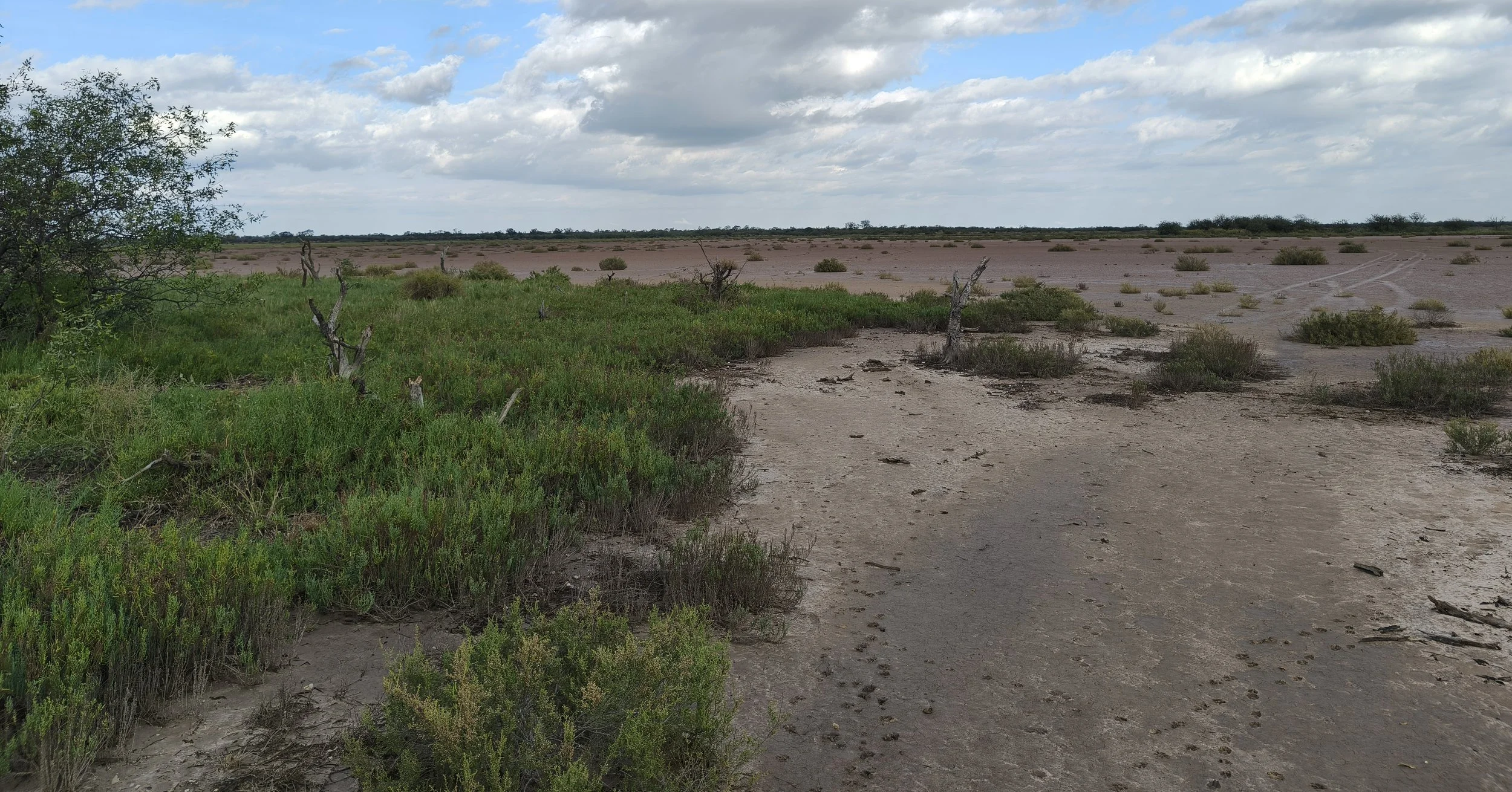 Laguna Salada