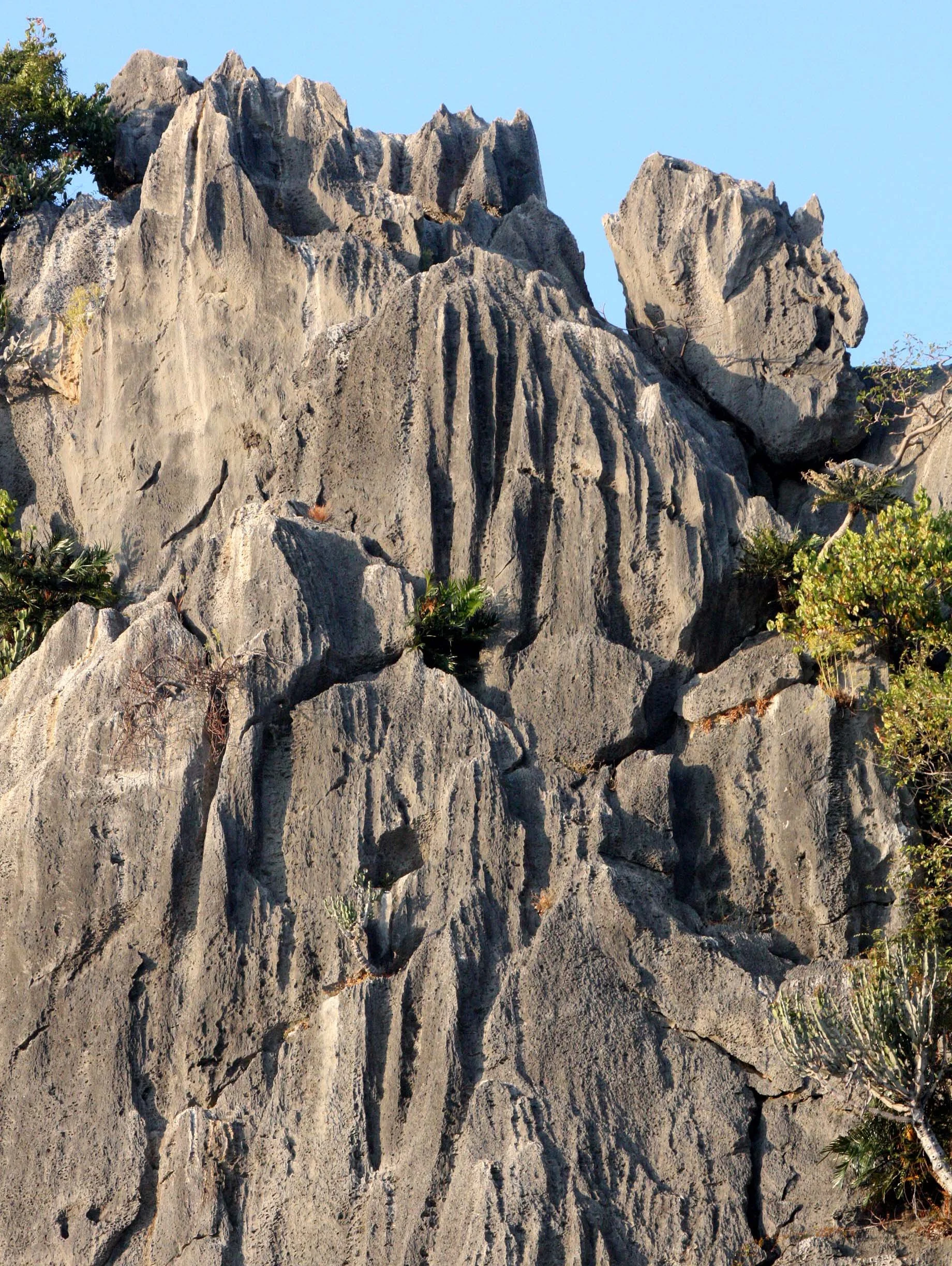 KHAO SAM ROI YOT THAILAND - 2009 (13).JPG