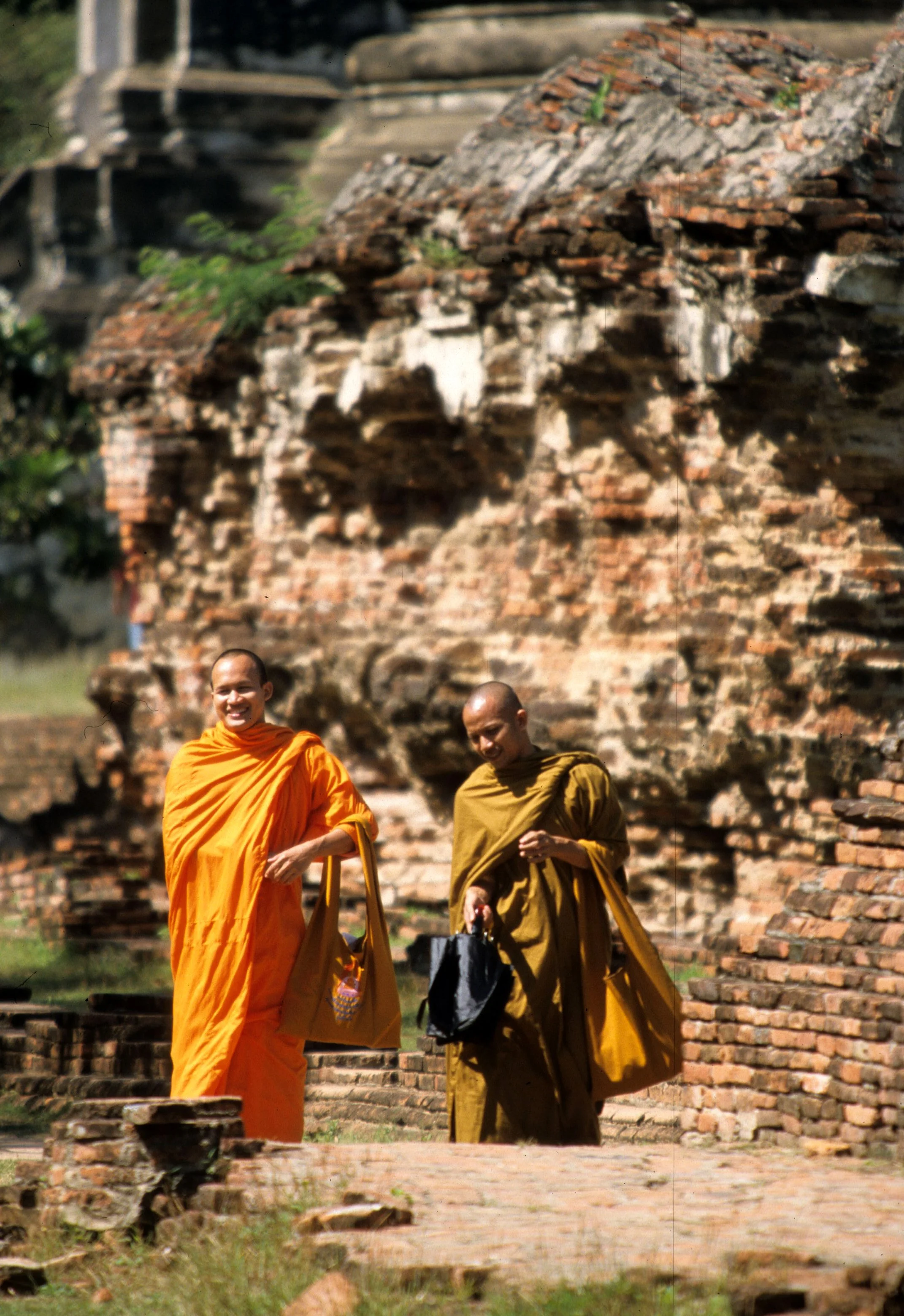 AYUDTHAYA - MONKS ON A STROLL.jpg