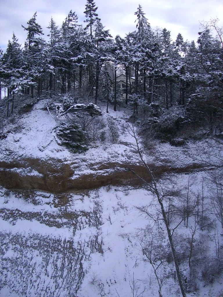 2004-1-3 LAKE FARM IN SNOW (20).JPG