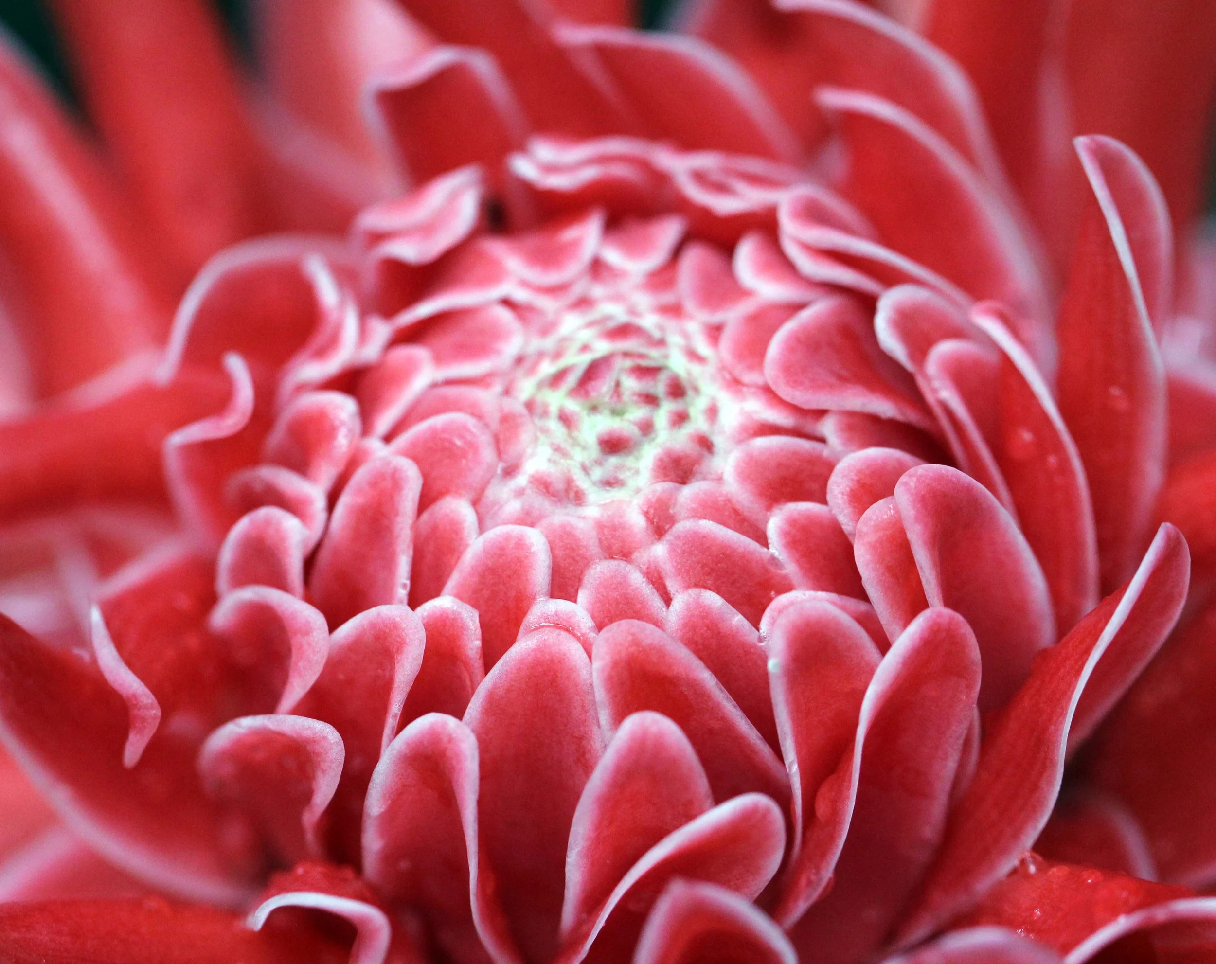 2013 in Nakhonsithammarat and some Krabi with Family (31).JPG