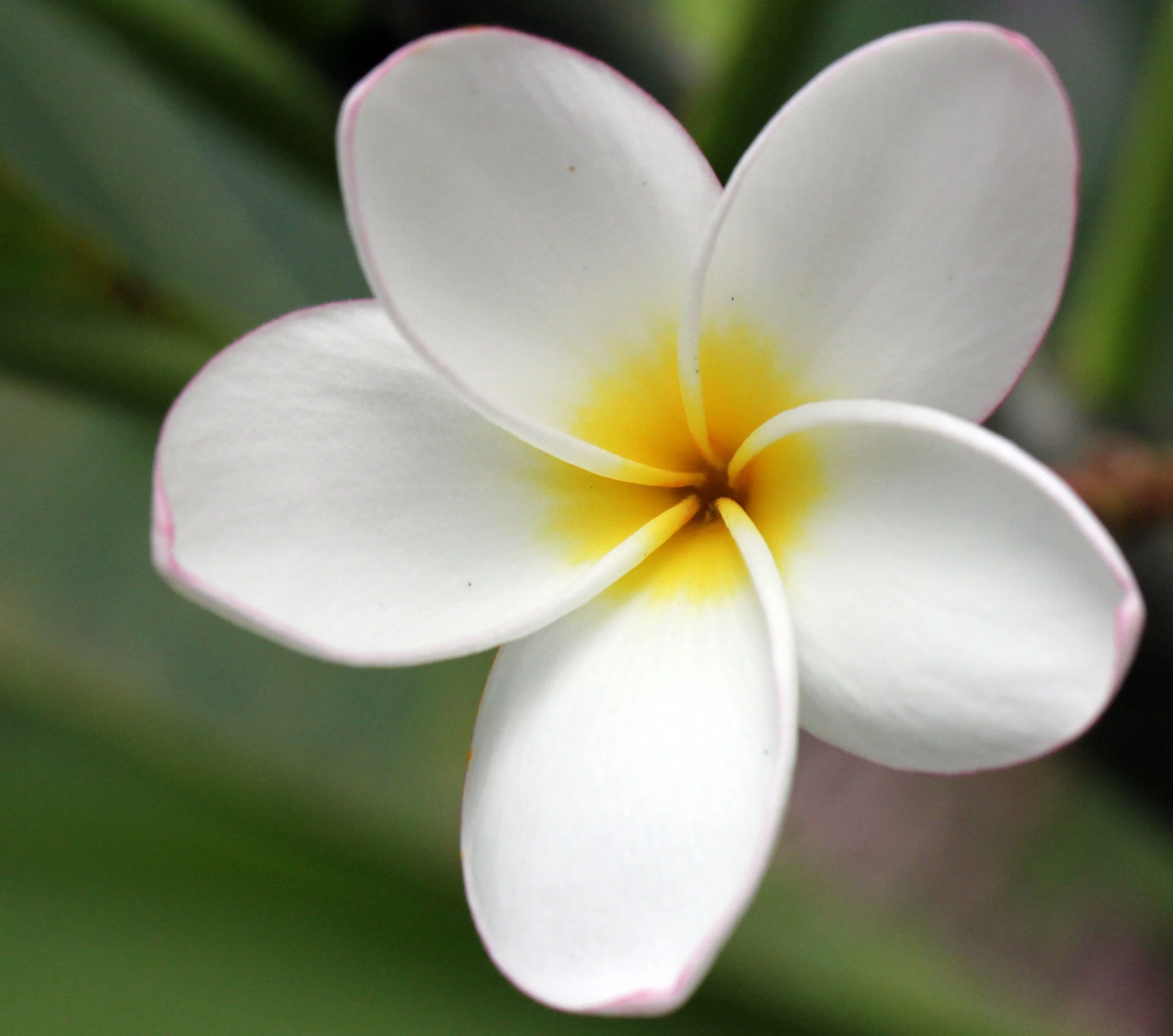 2013 Cha'am and Petchaburi with Family & Friends (26).JPG