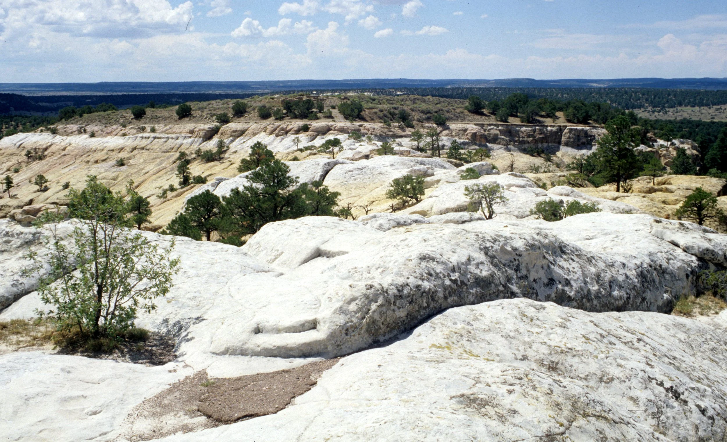 ANASAZILAND - EL MORRO NM F.jpg