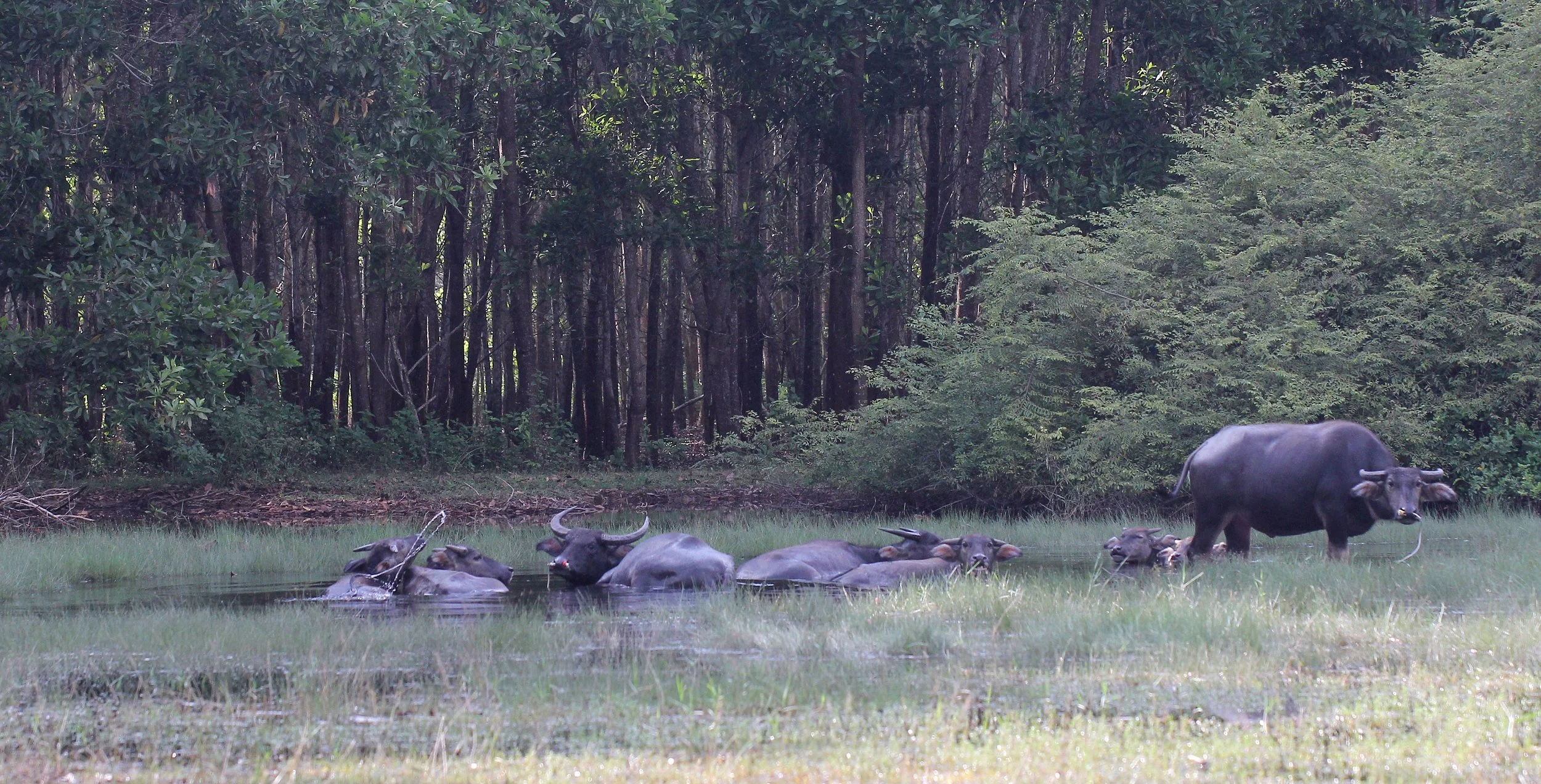 2015 Koh Lanta October Break Trip  (52).JPG