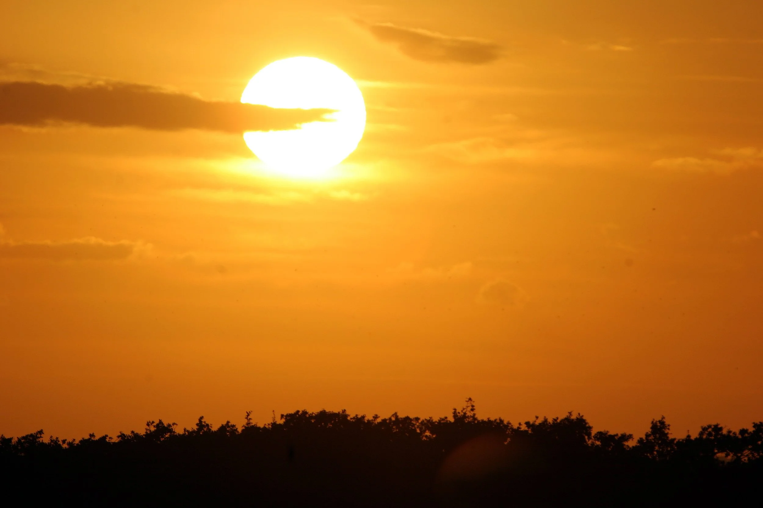 ARANZAS NWR - TEXAS (5).jpg