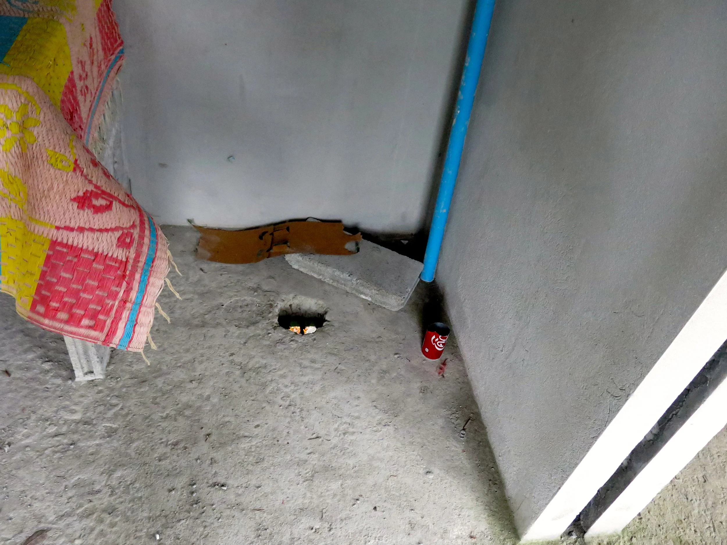 LANTA PROJECT - NOVEMBER 2014 UPDATE (98).JPG