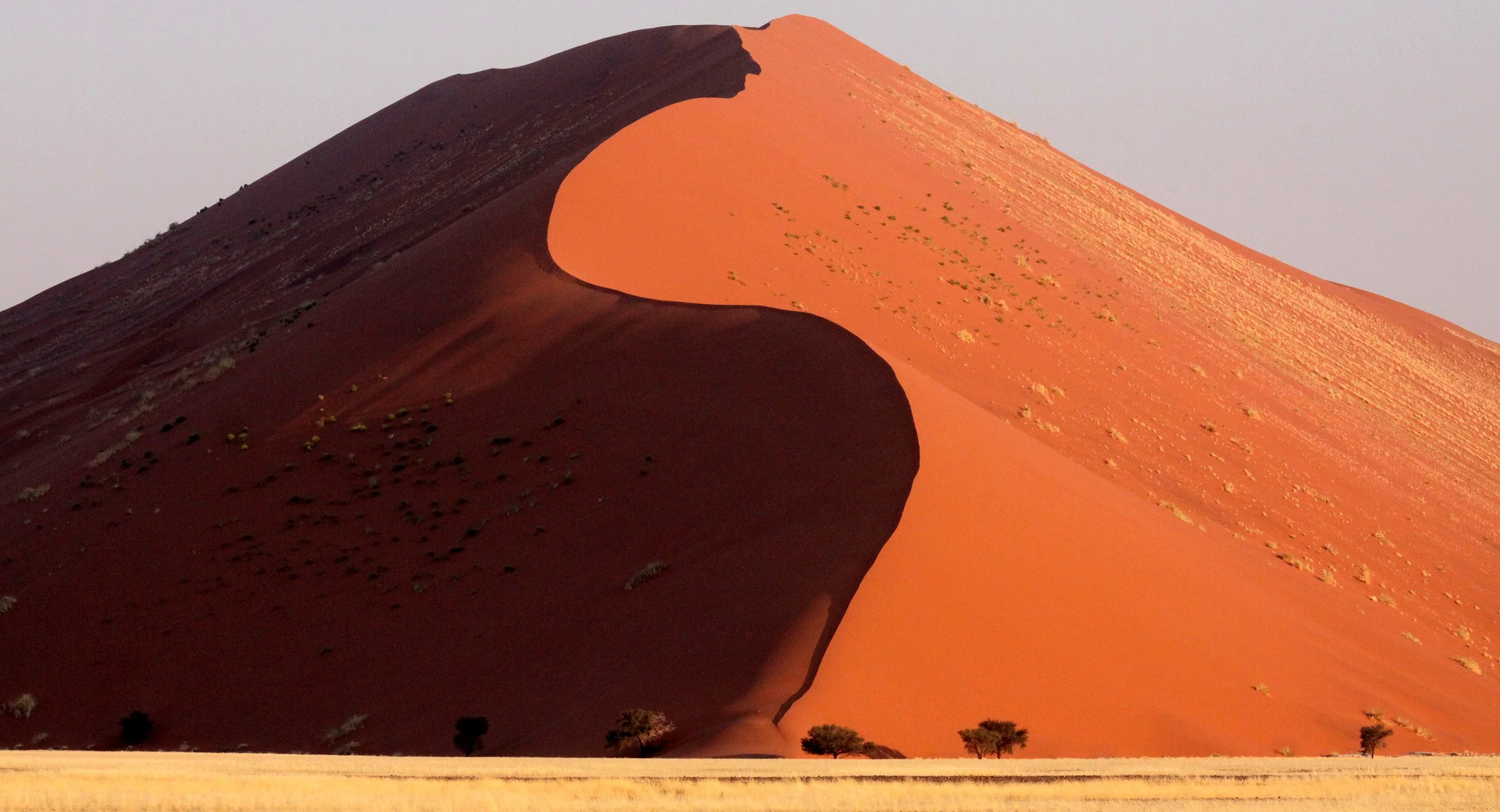 SOSSUSVLEI, NAMIB NAUKLUFT NATIONAL PARK, NAMIBIA (68).JPG