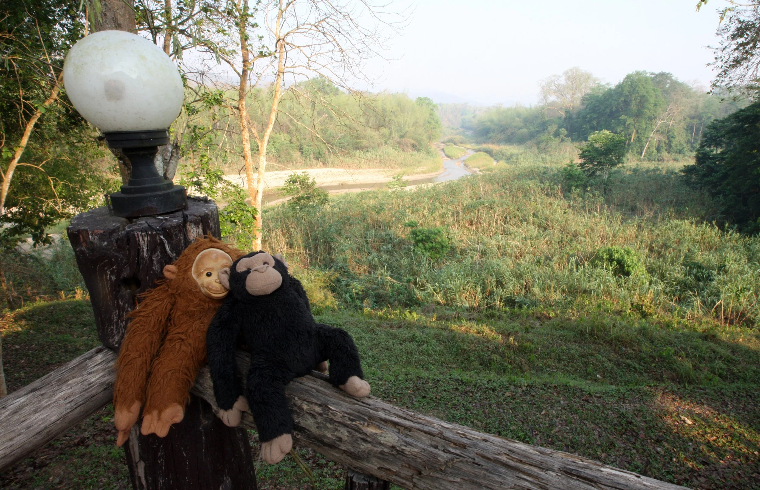 2015 Huai Kha Khaeng Khao Ban Dai Camp with Bruce Kekule (108).JPG