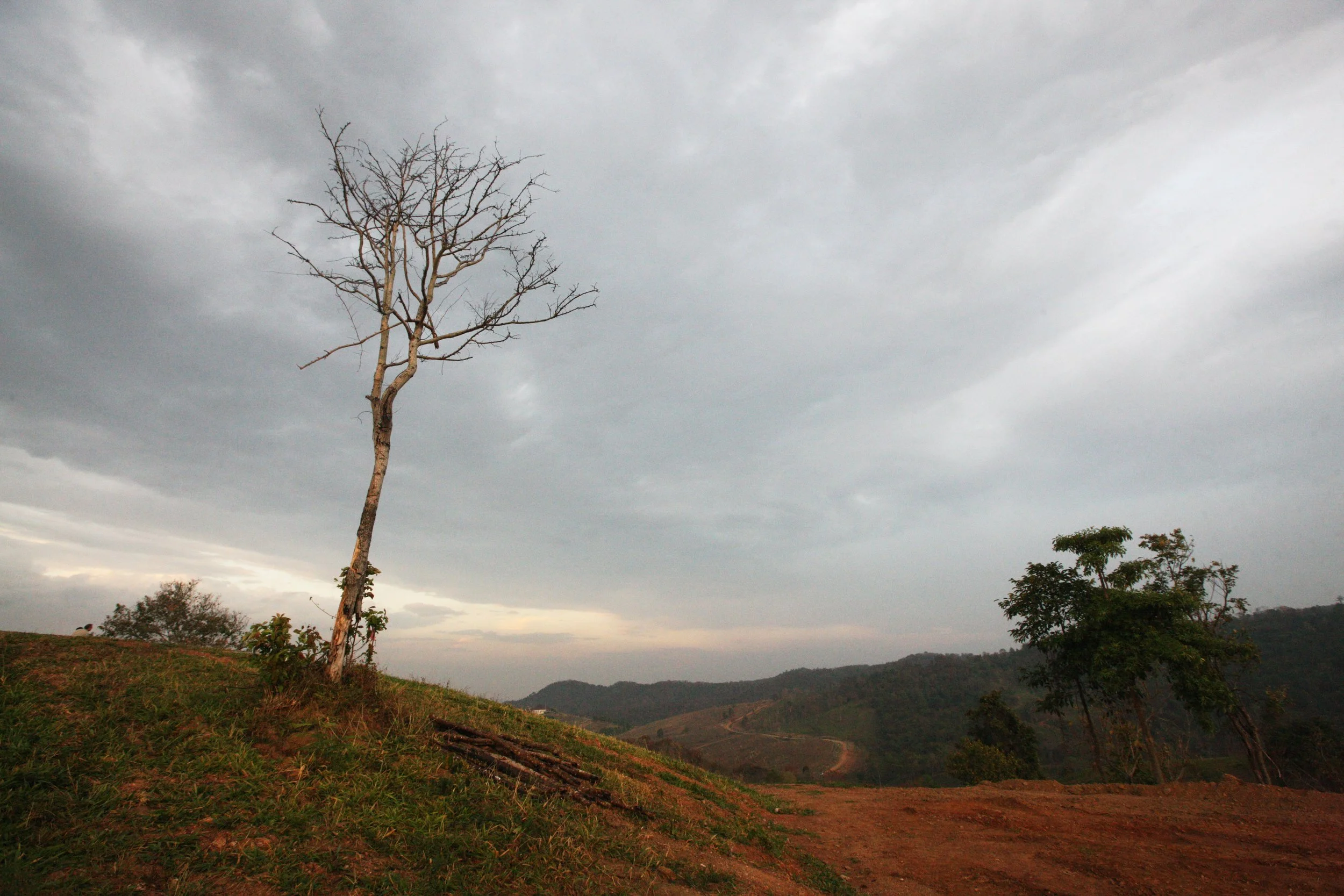 2015 Khao Pang Ma Nonhunting Area (17).JPG