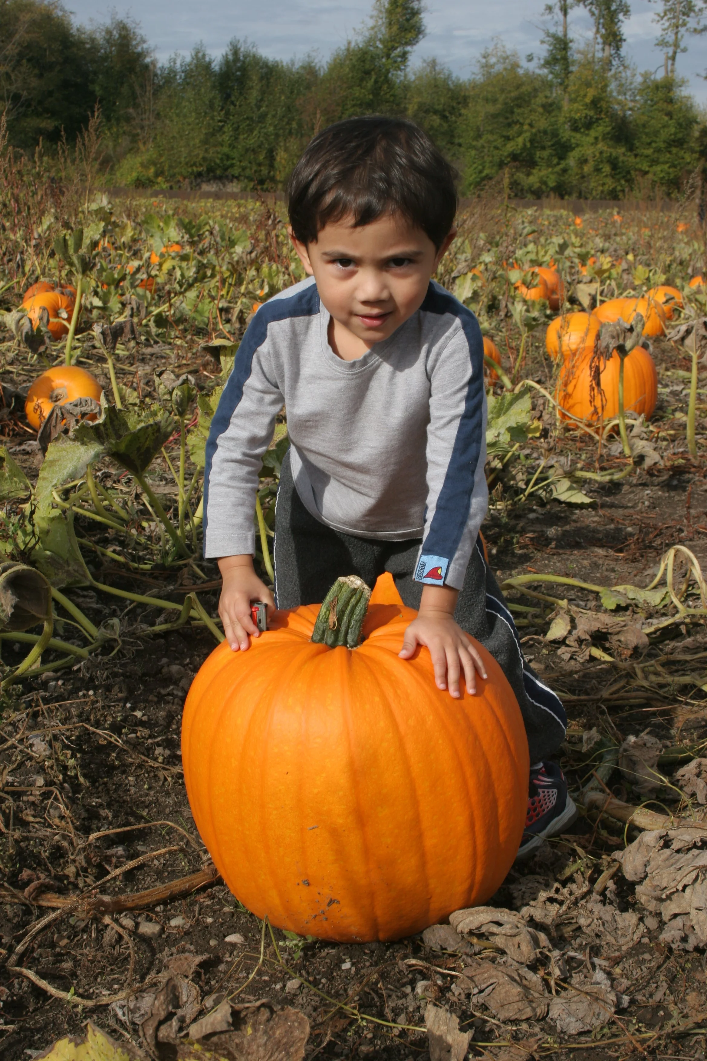 2005-6-9 PUMPKIN PATCH HALLOWEEN (7).JPG