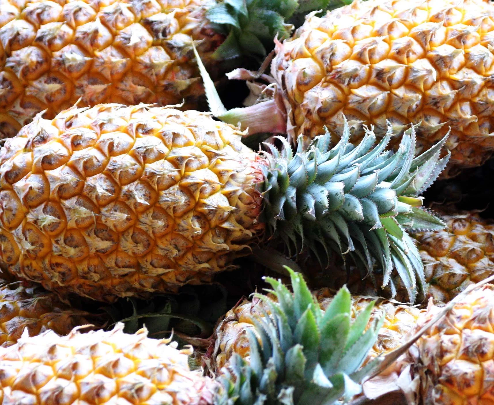 2008 Damnoen Saduak Floating Market Day Trip (121).JPG