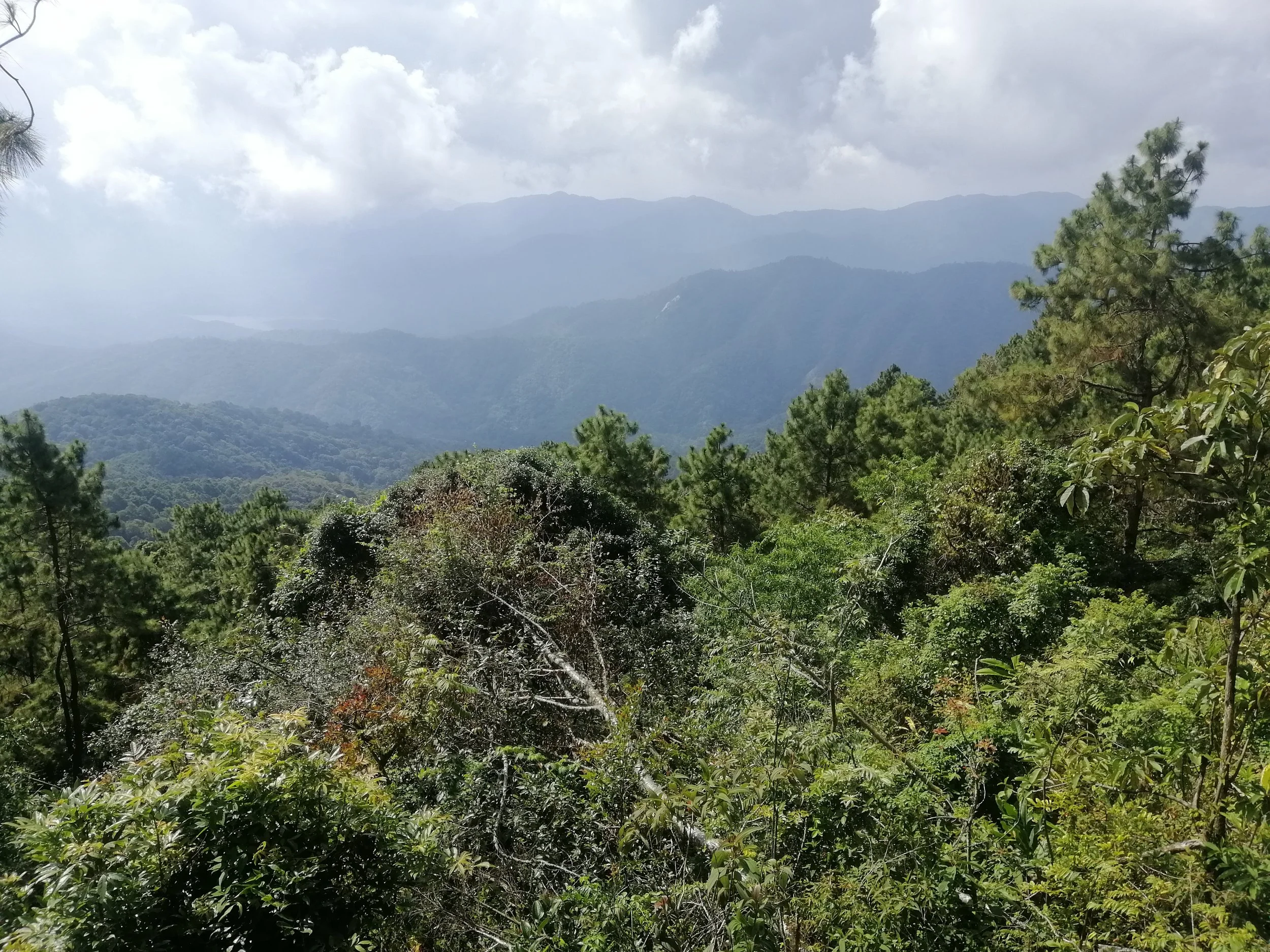 2021 Doi Pha Hom Pok NP Winter Birding Trip with Jan and Ben and Crew  (2).jpg