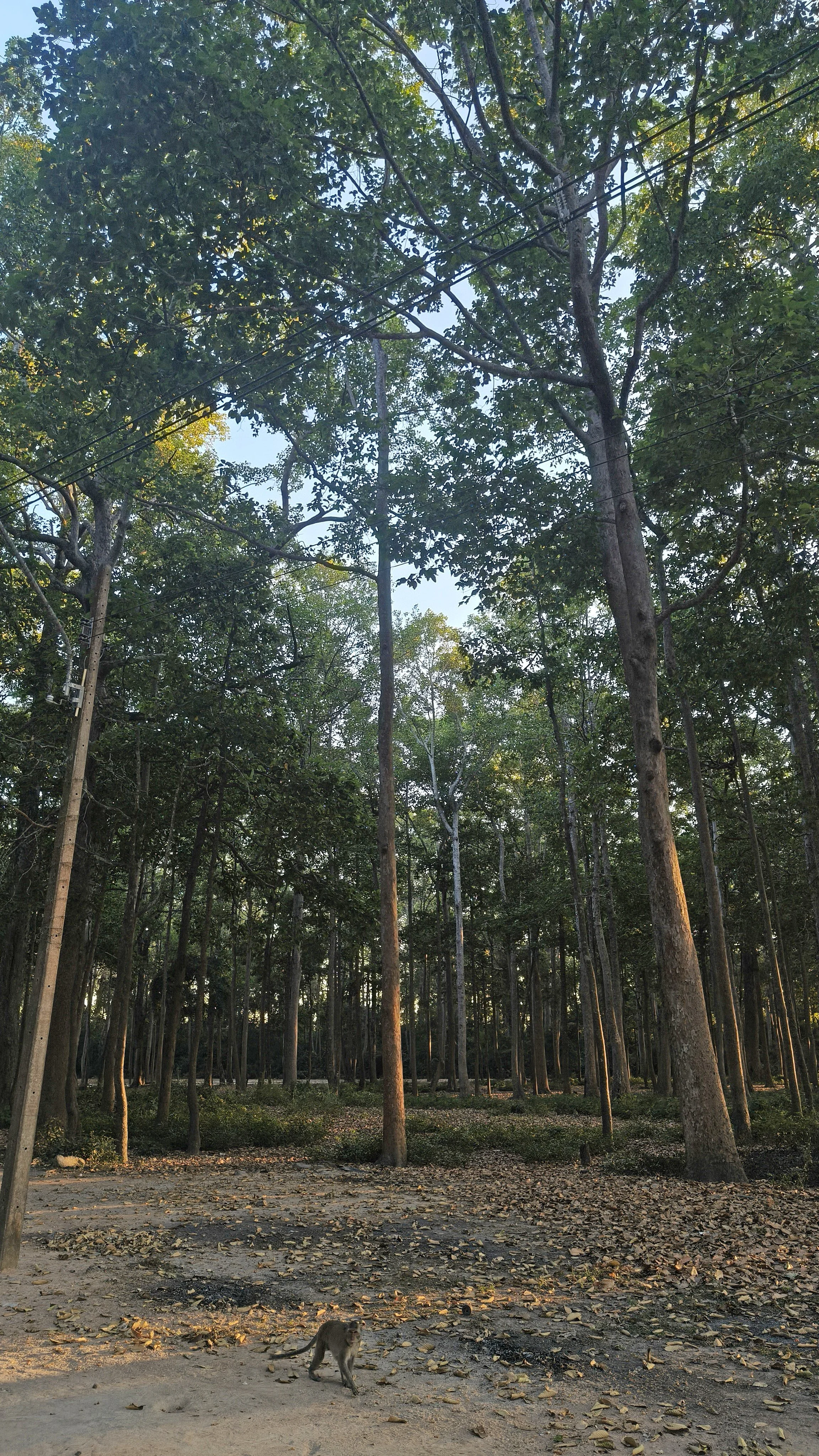 Wat Ku Phra Kona - Roi Et (17).jpg