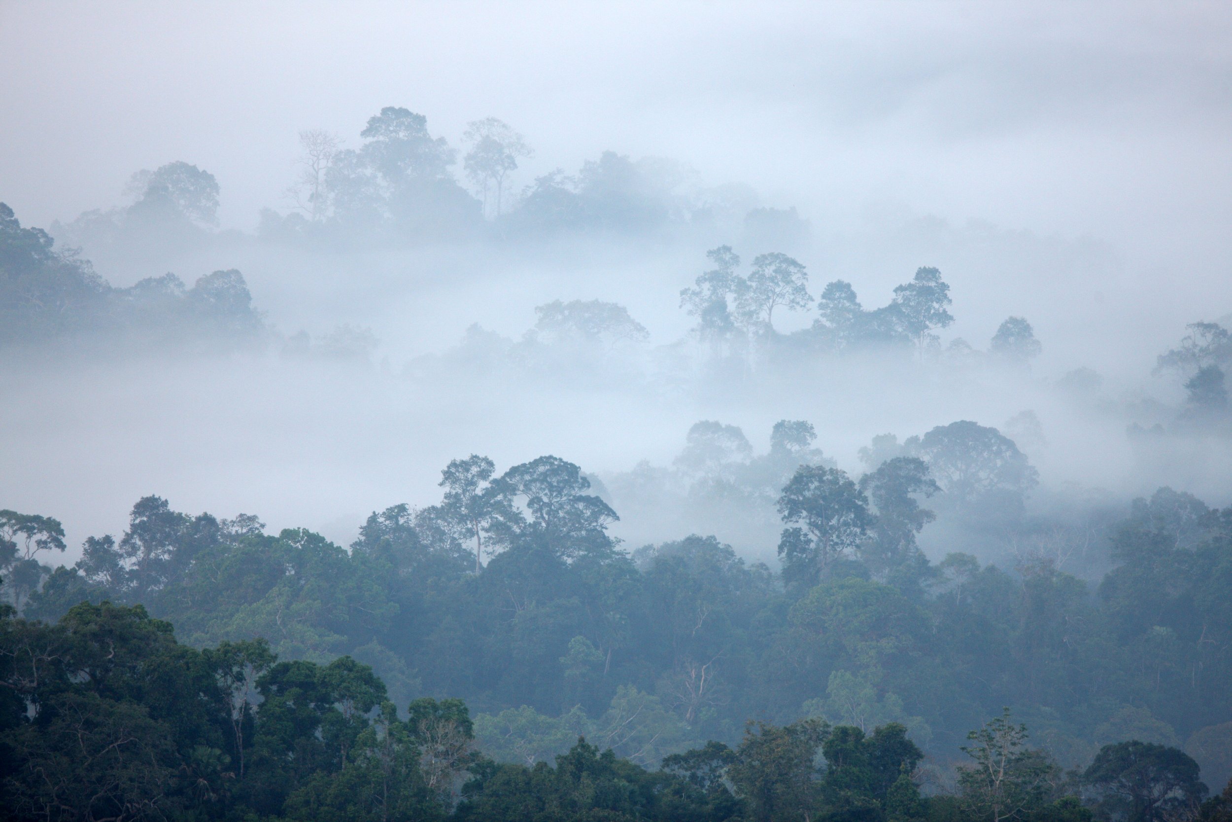 KAENG KRACHAN NATIONAL PARK THAILAND - THALE MOG (2).JPG