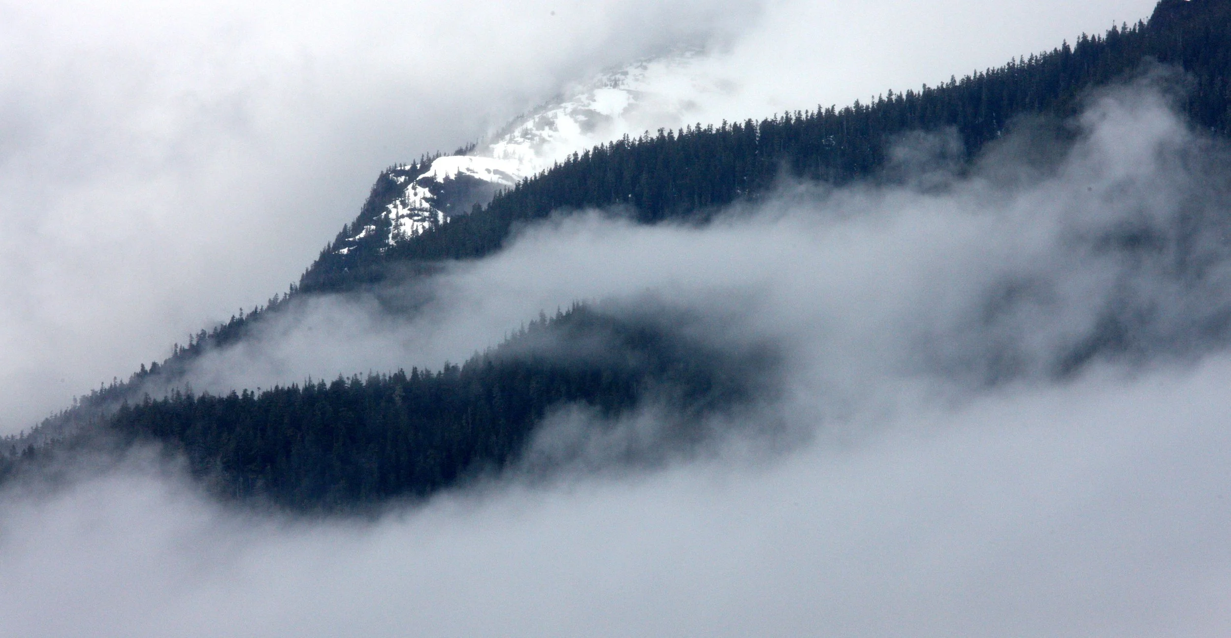 KNIGHT'S INLET BRITISH COLUMBIA (9).JPG