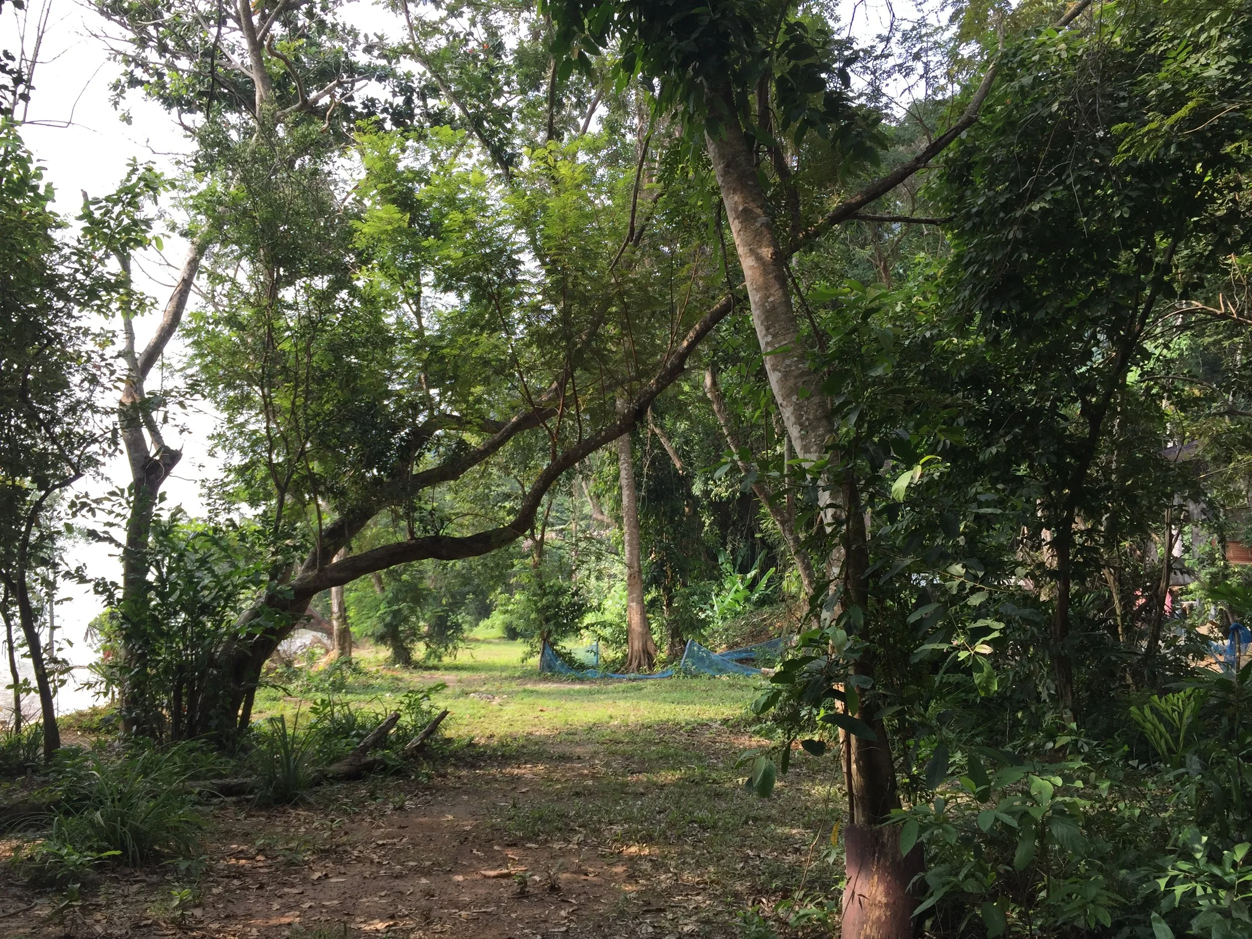 2015 Koh Lanta Garden & Nature (163).JPG