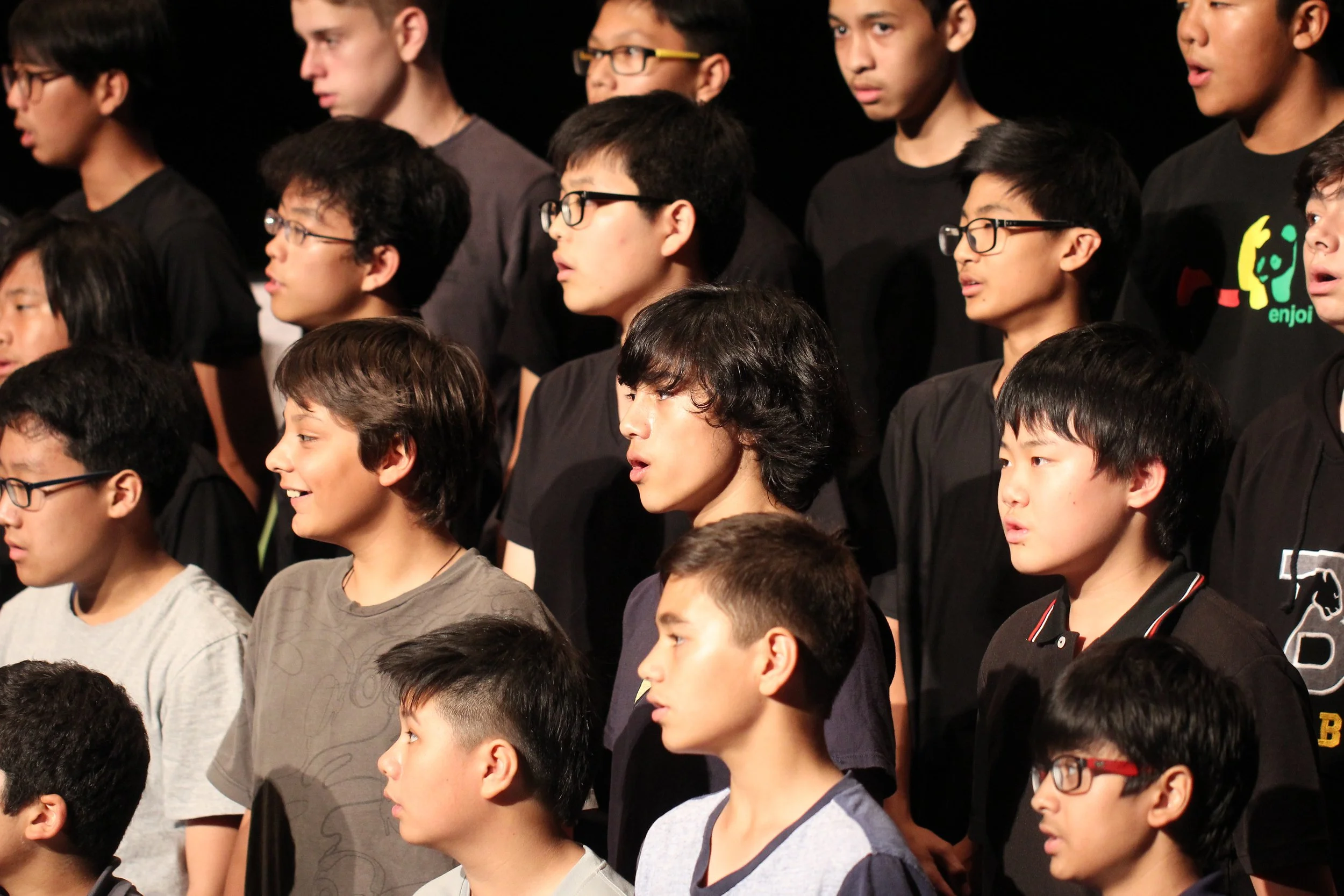 2015 Spring Concert for Cokie at ISB (31).JPG