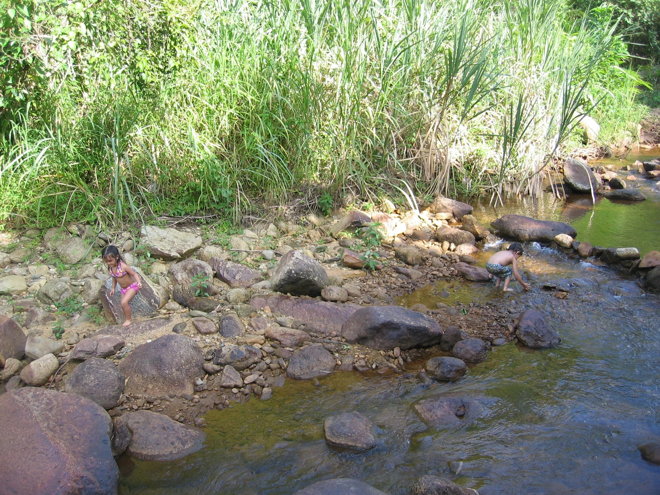 2006 Promluk Property Party on Stream (1).JPG