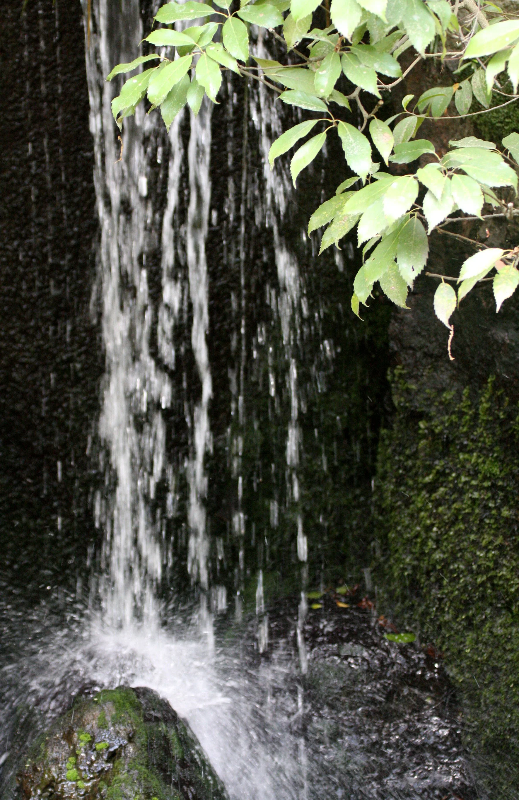 KYOTO - MAY 2009 - KINKAKUJI (34).JPG