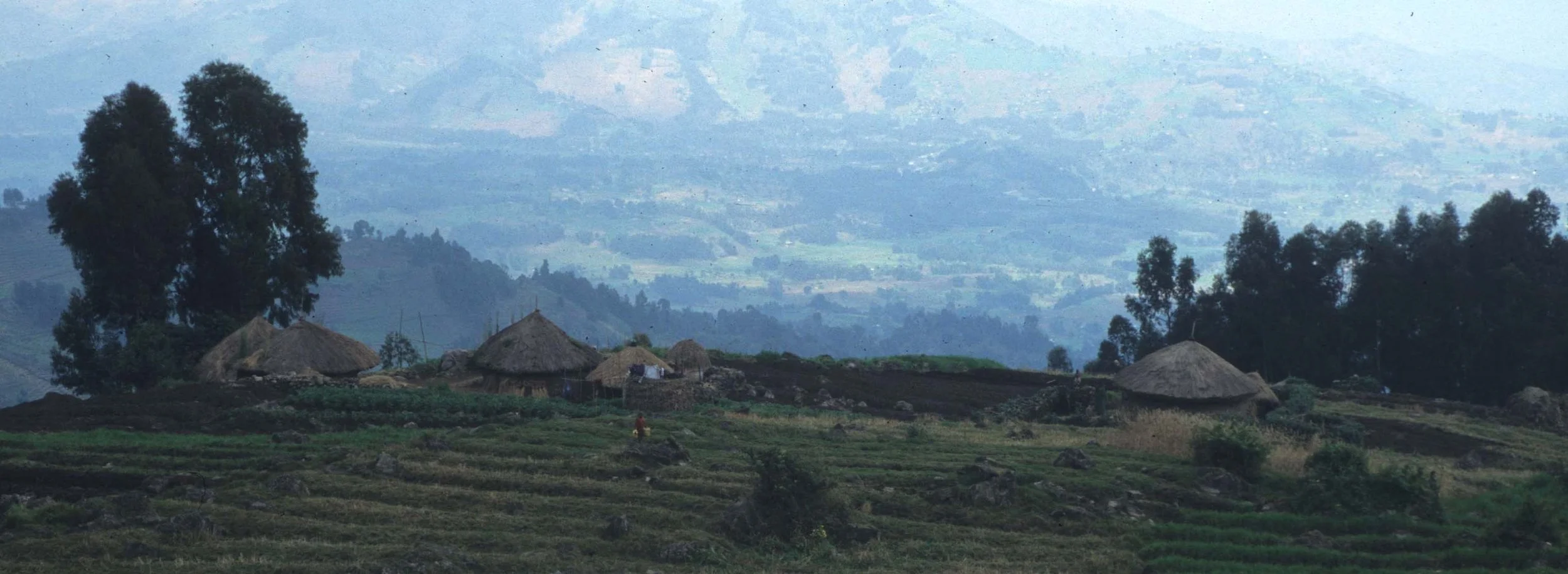 RWANDA COUNTRYSIDE 6.jpg