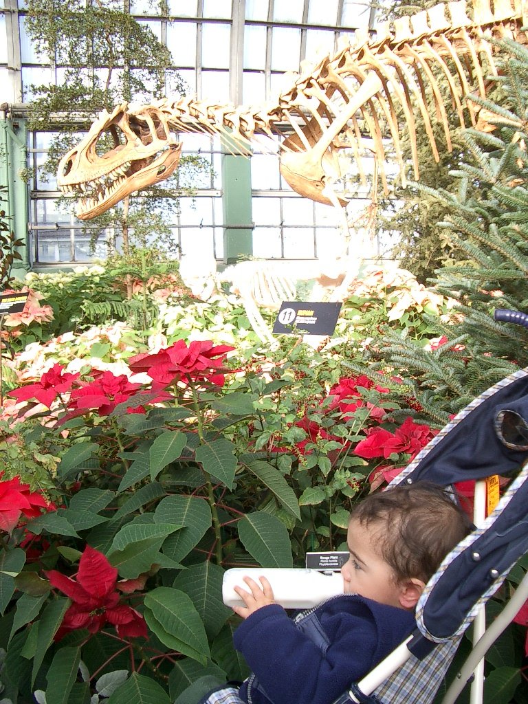 2003-12-25 CHRISTMAS IN CHICAGO (291).JPG