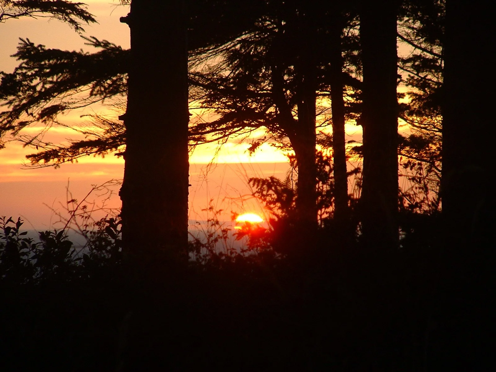 2003-8-1 WASHINGTON VISIT FROM ROBINSONS ET AL (15).JPG