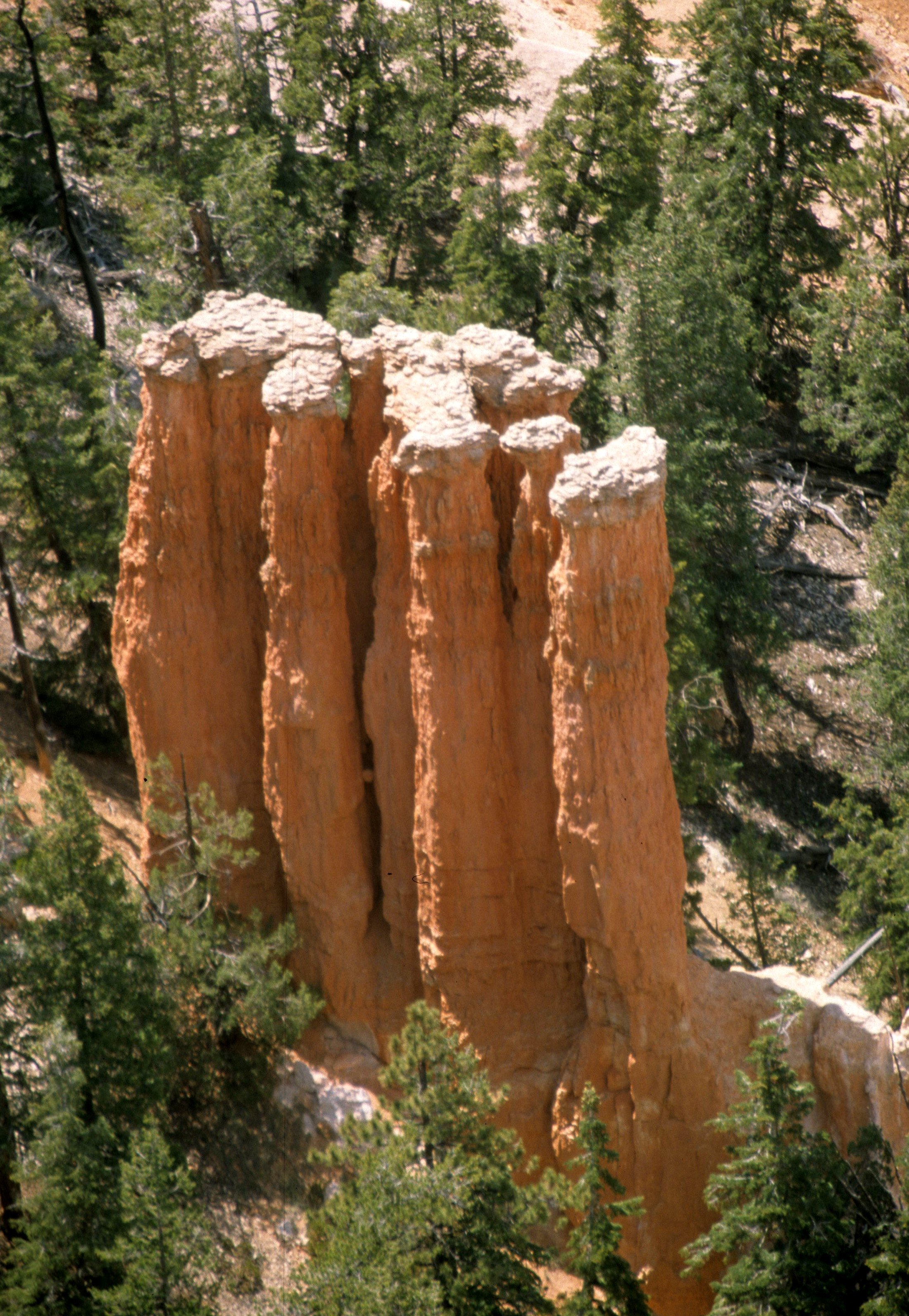 UTAH - BRYCE CANYON R.jpg