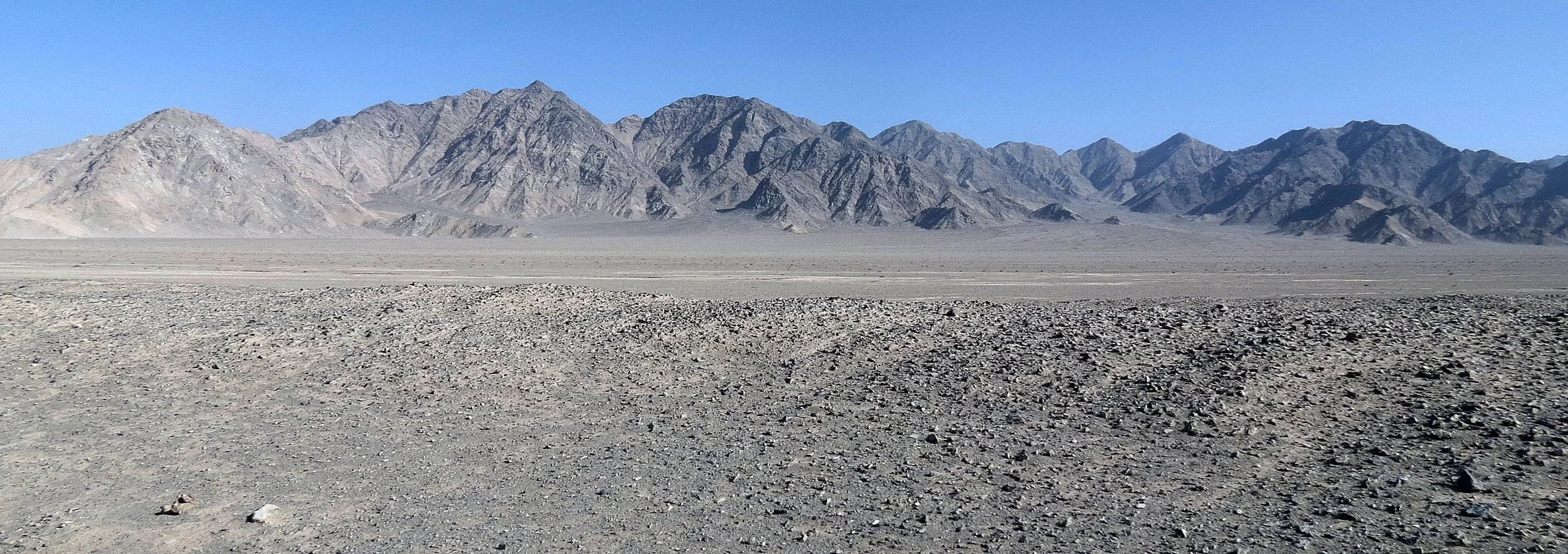 LOP NUR WILD CAMEL RESERVE - LOST IN THE QINGHAI SECTOR (54).JPG