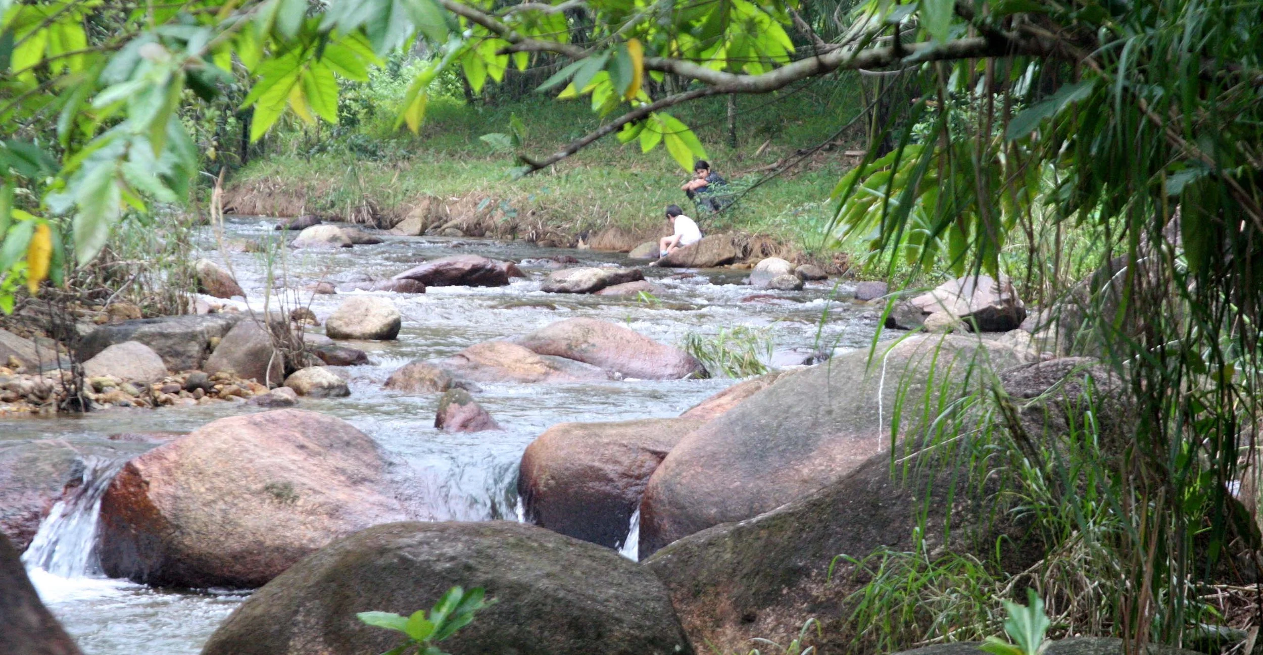 2009 Promluk Property Views (18).JPG