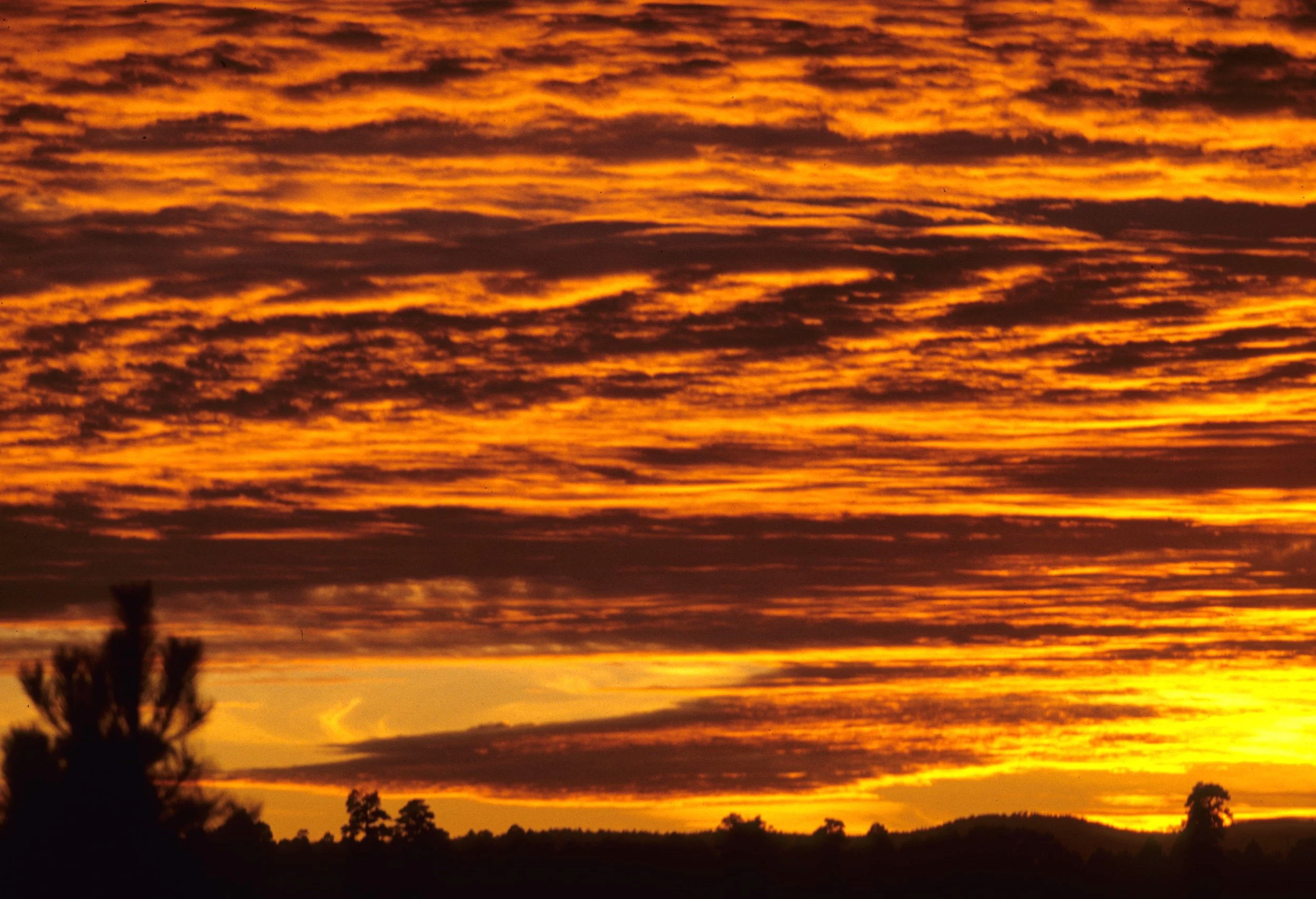 ARIZONA - GRAND CANYON - SOUTH RIM VIEW - SUNSET.jpg