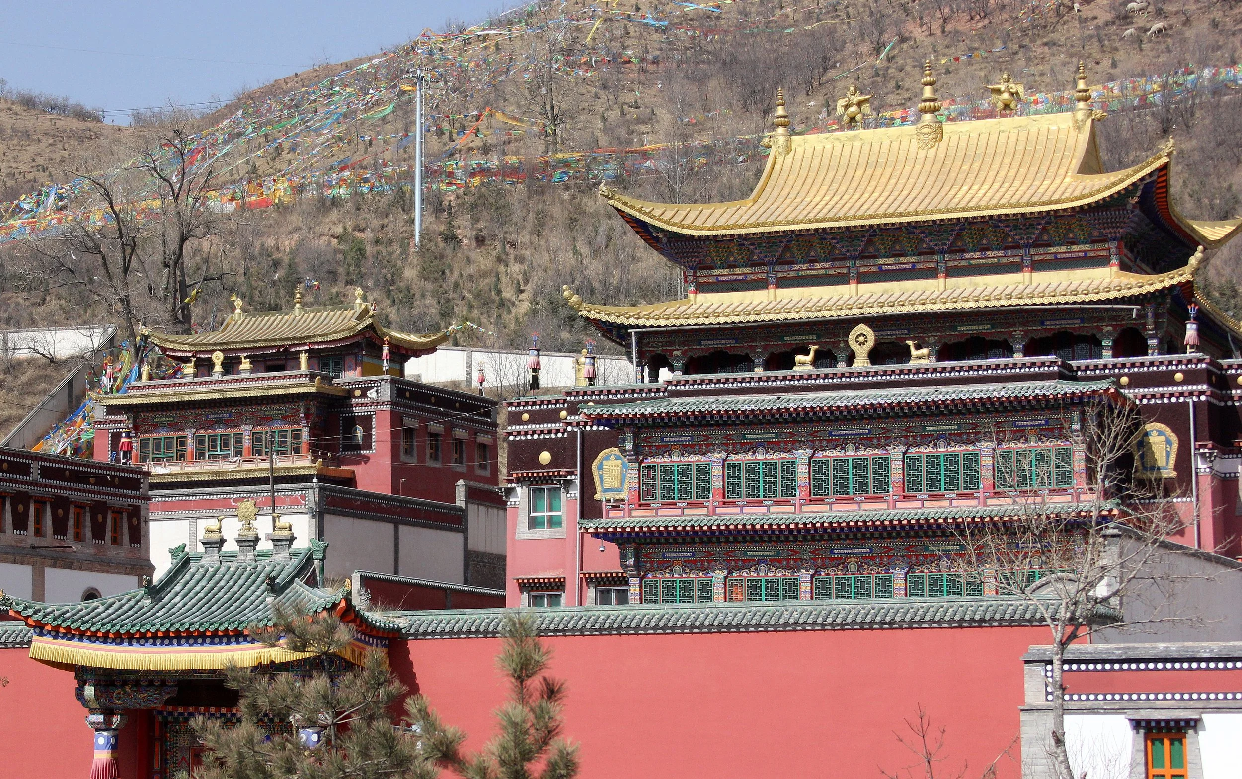 KUNBUM TIBETAN TEMPLE - XINING QINGHAI CHINA (35).JPG