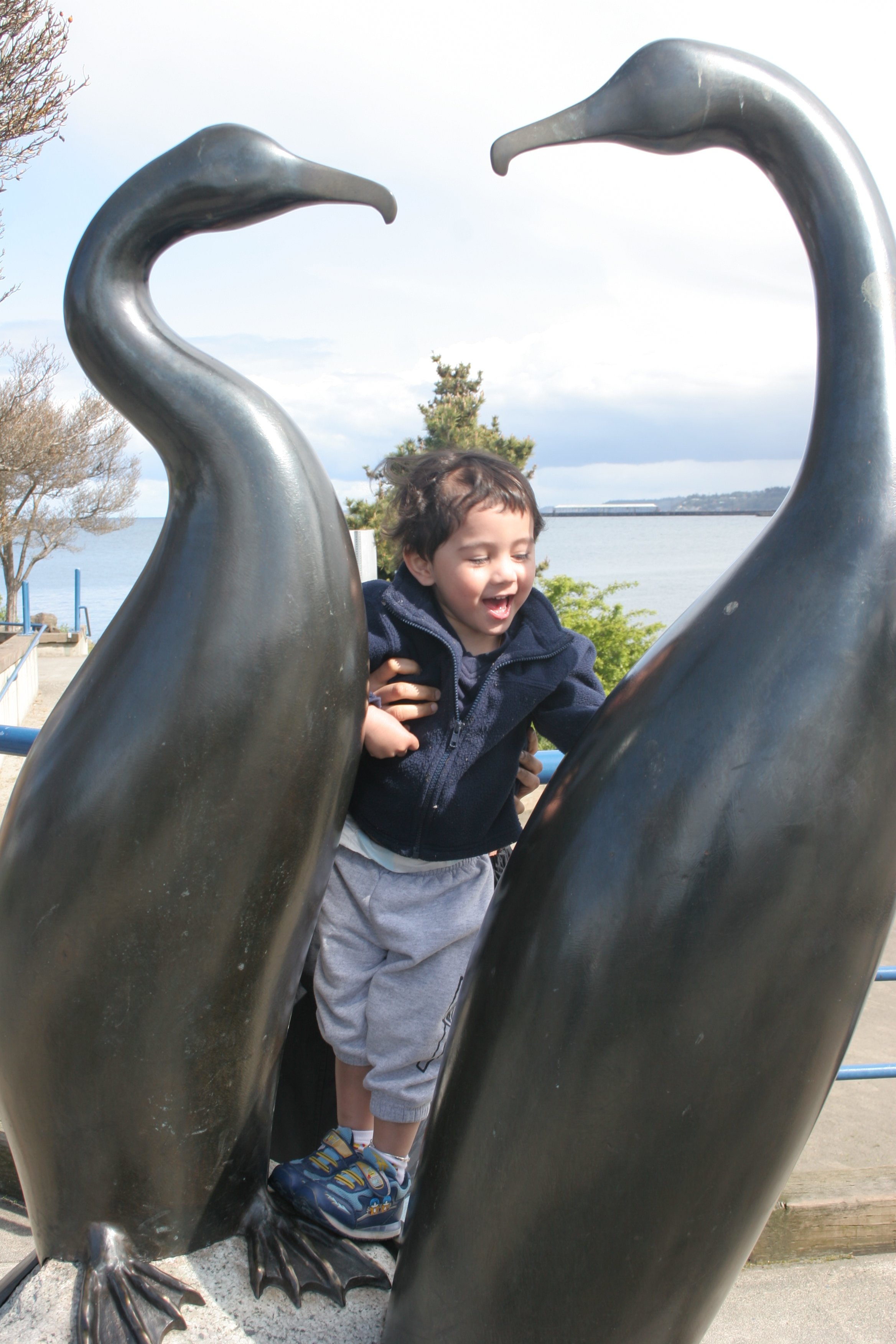 2005-4-4 PA HARBOR CORMORANTS.jpg