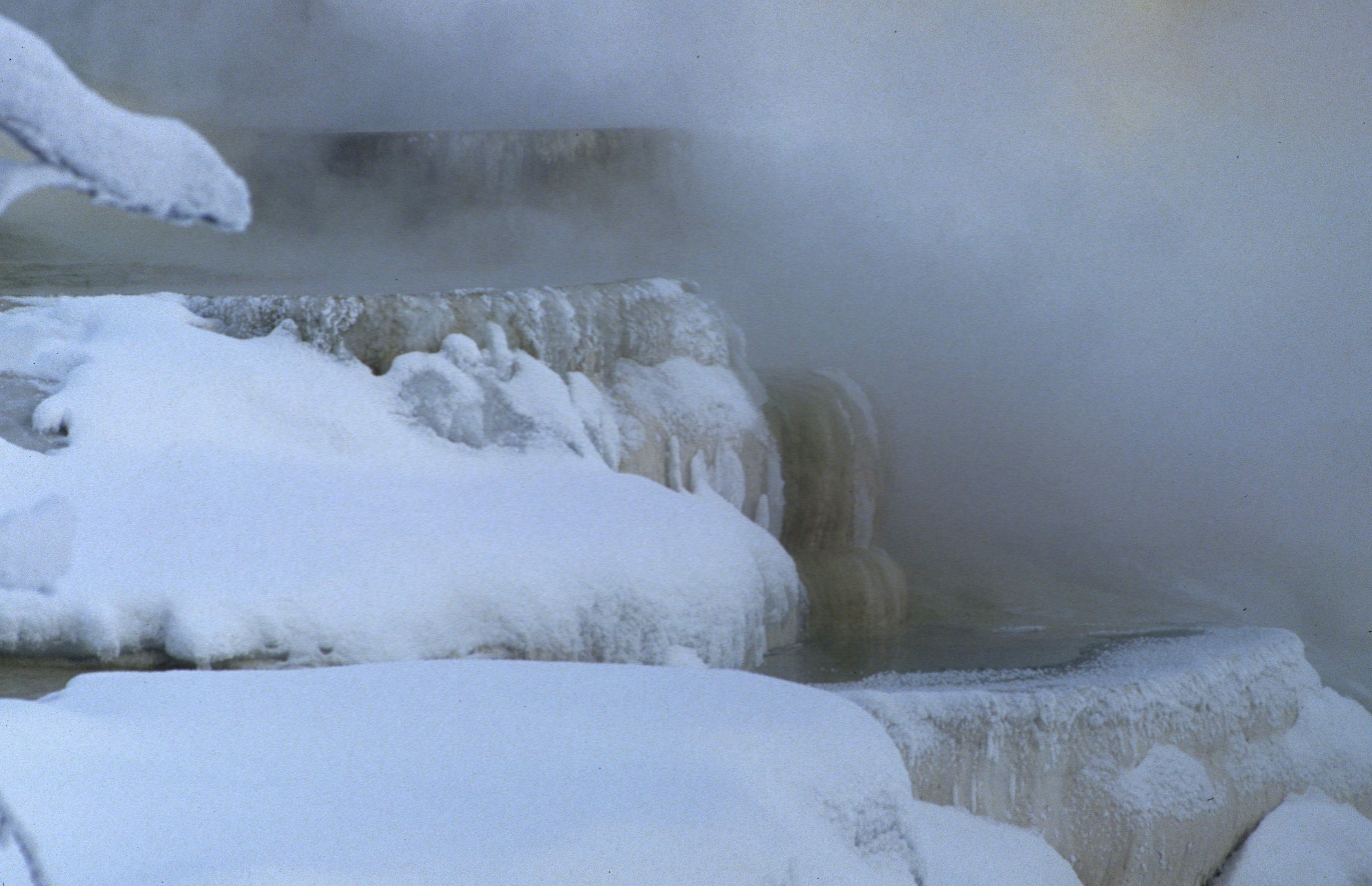 YELLOWSTONE IN WINTER - MAMMOTH HOTSPRINGS E.jpg