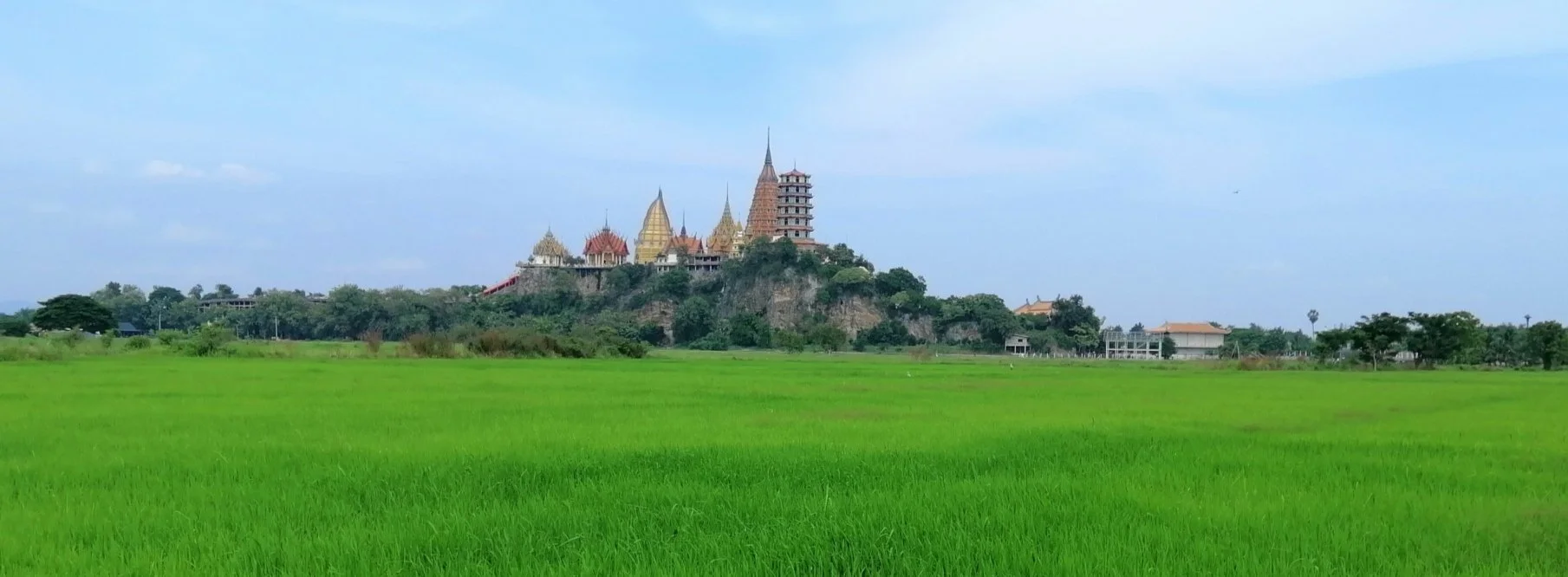 Wat Tham Suea (Tiger Cave Temple) located in Kanchanaburi. The rice fields in this region replace the 