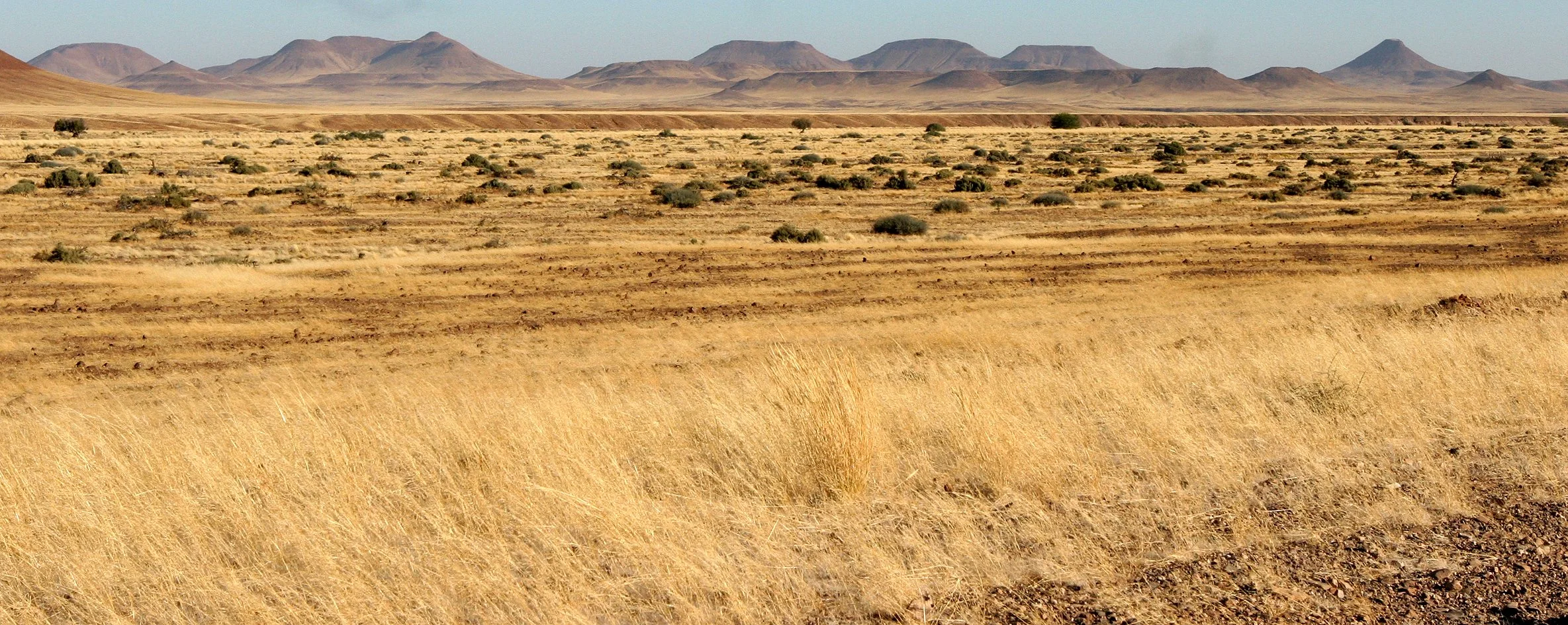 NAMIBIA - SKELETON COAST NATIONAL PARK (4).JPG