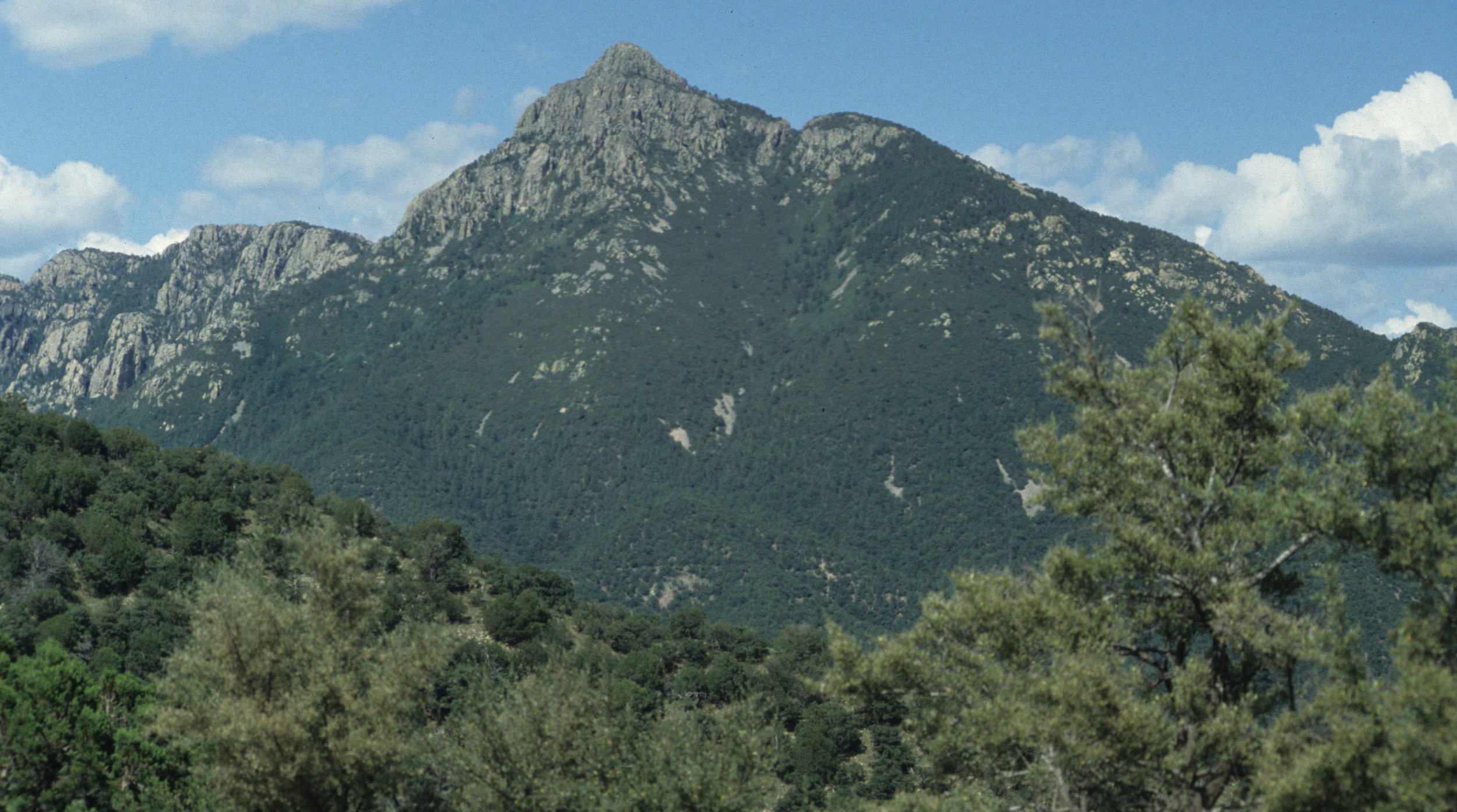 ARIZONA - MADERA CANYON - MOUNT WRIGHTSON.jpg