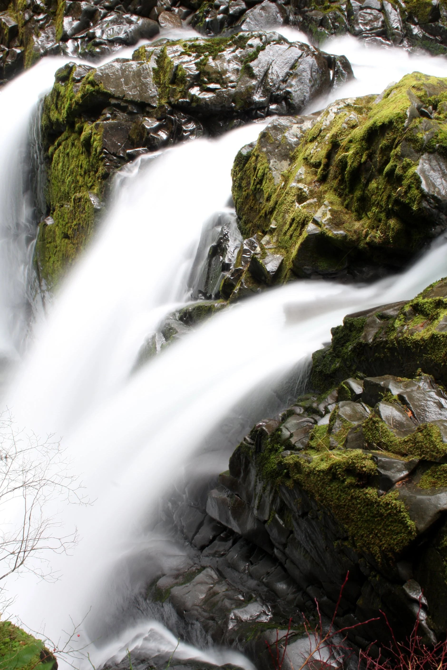 SOL DUC FALLS AND FOREST - ONP WA (53).JPG